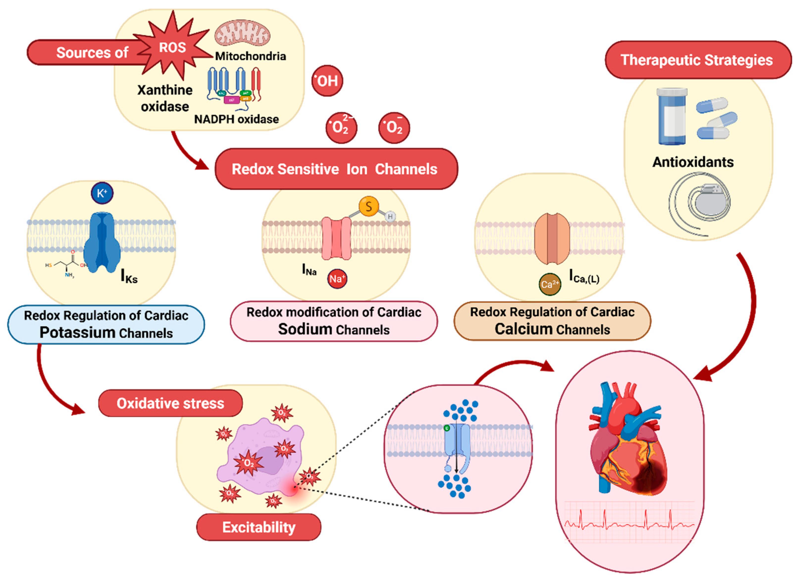 Antioxidants 14 00836 g006