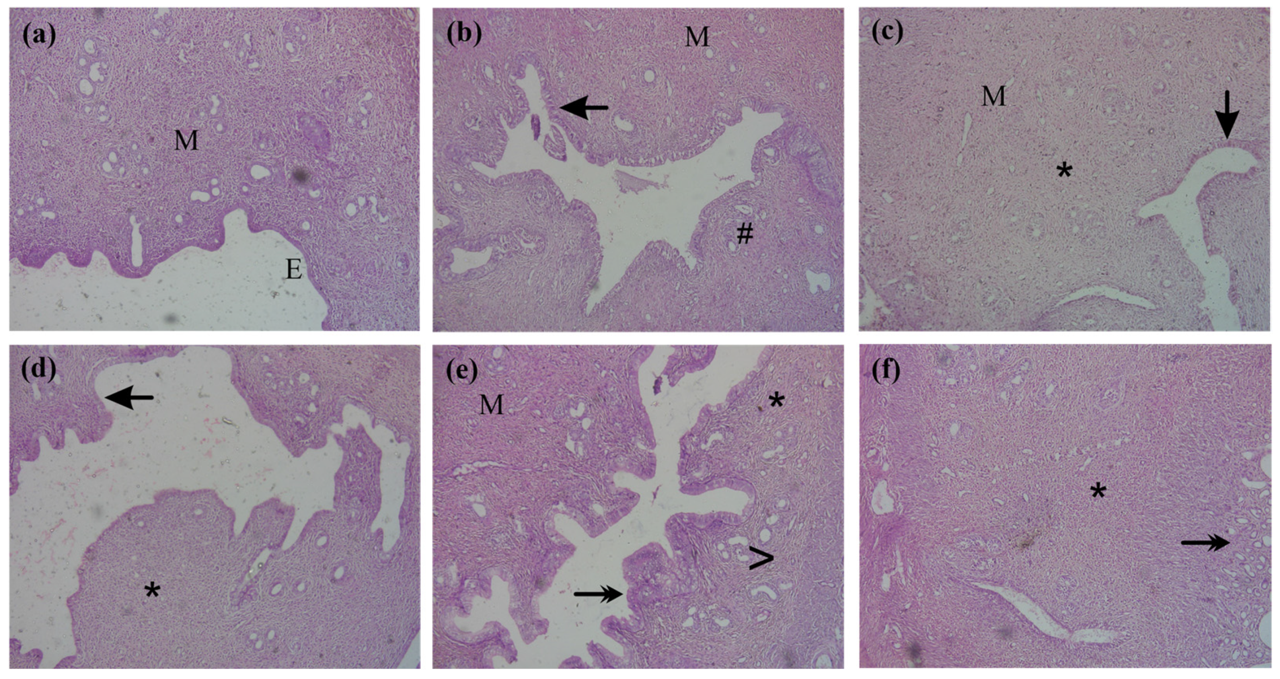 Antioxidants 14 00838 g005