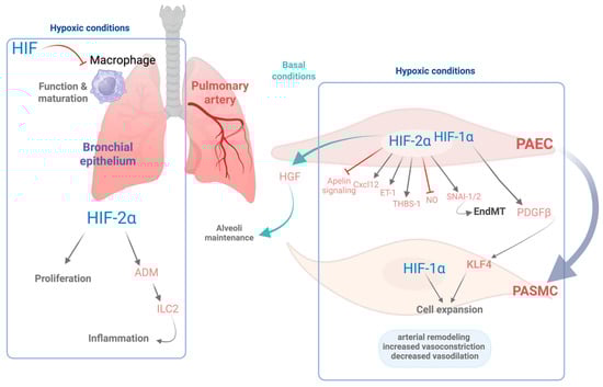 Antioxidants 14 00839 g001