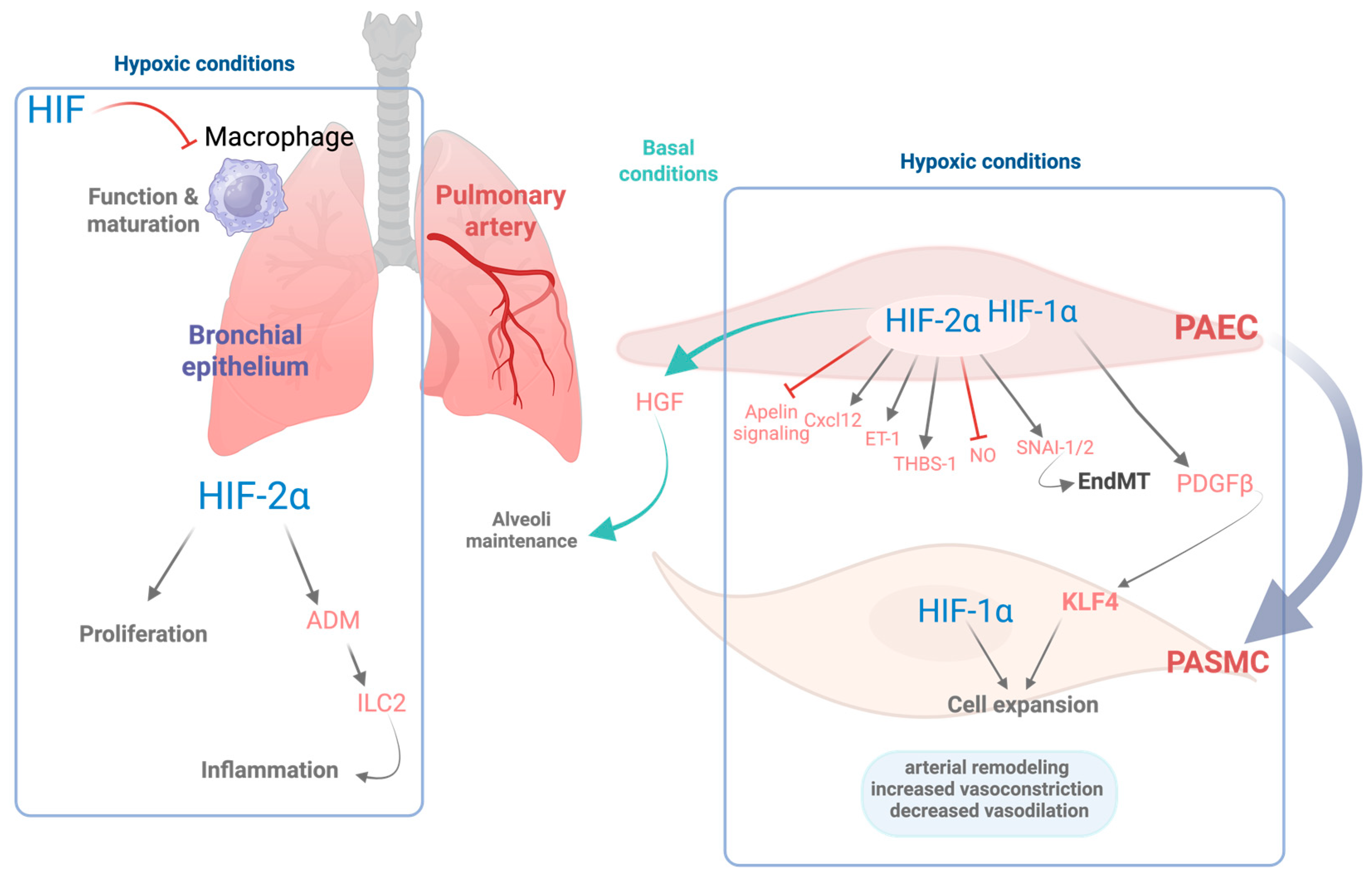 Antioxidants 14 00839 g001