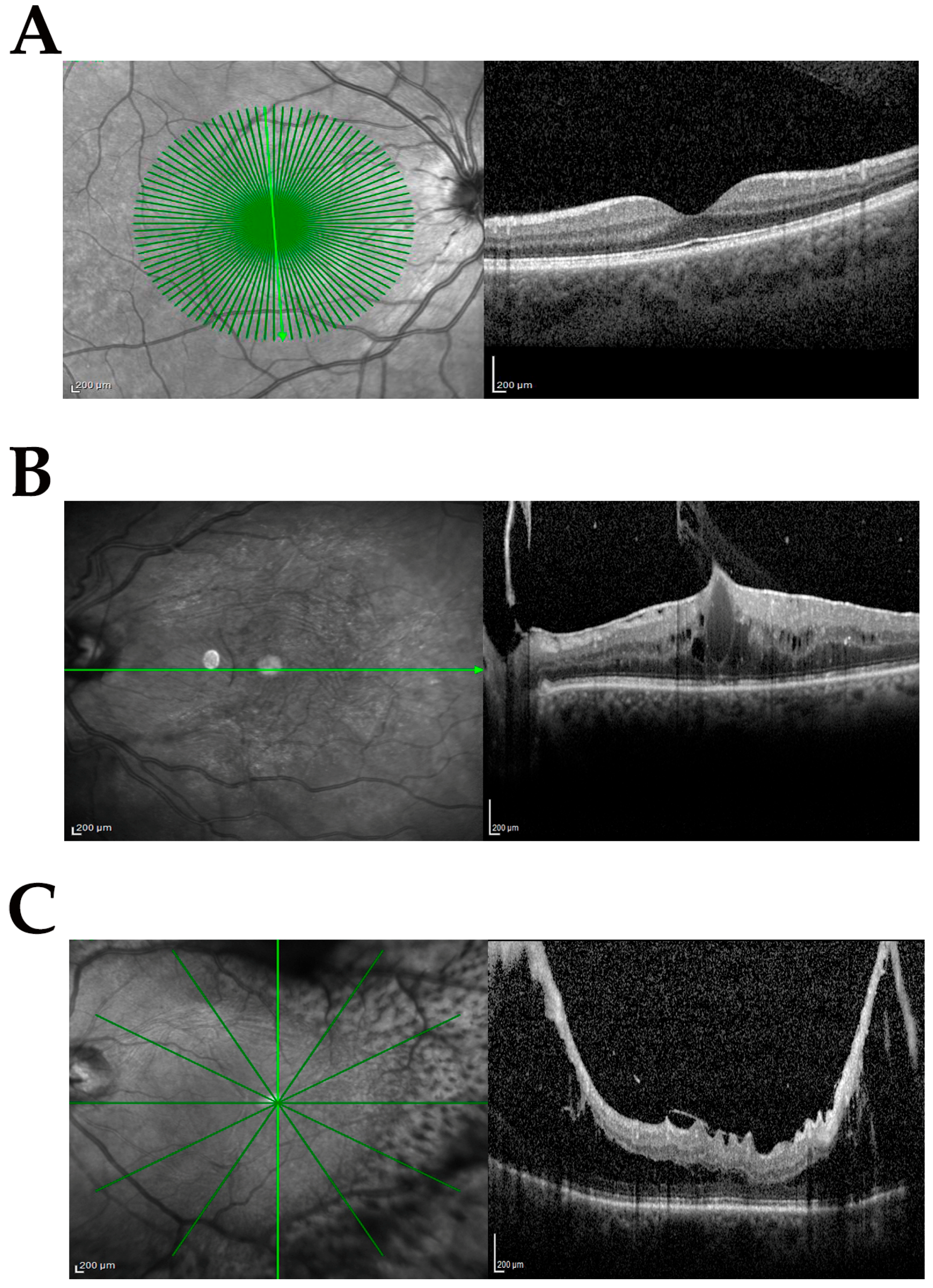 Antioxidants 14 00841 g001