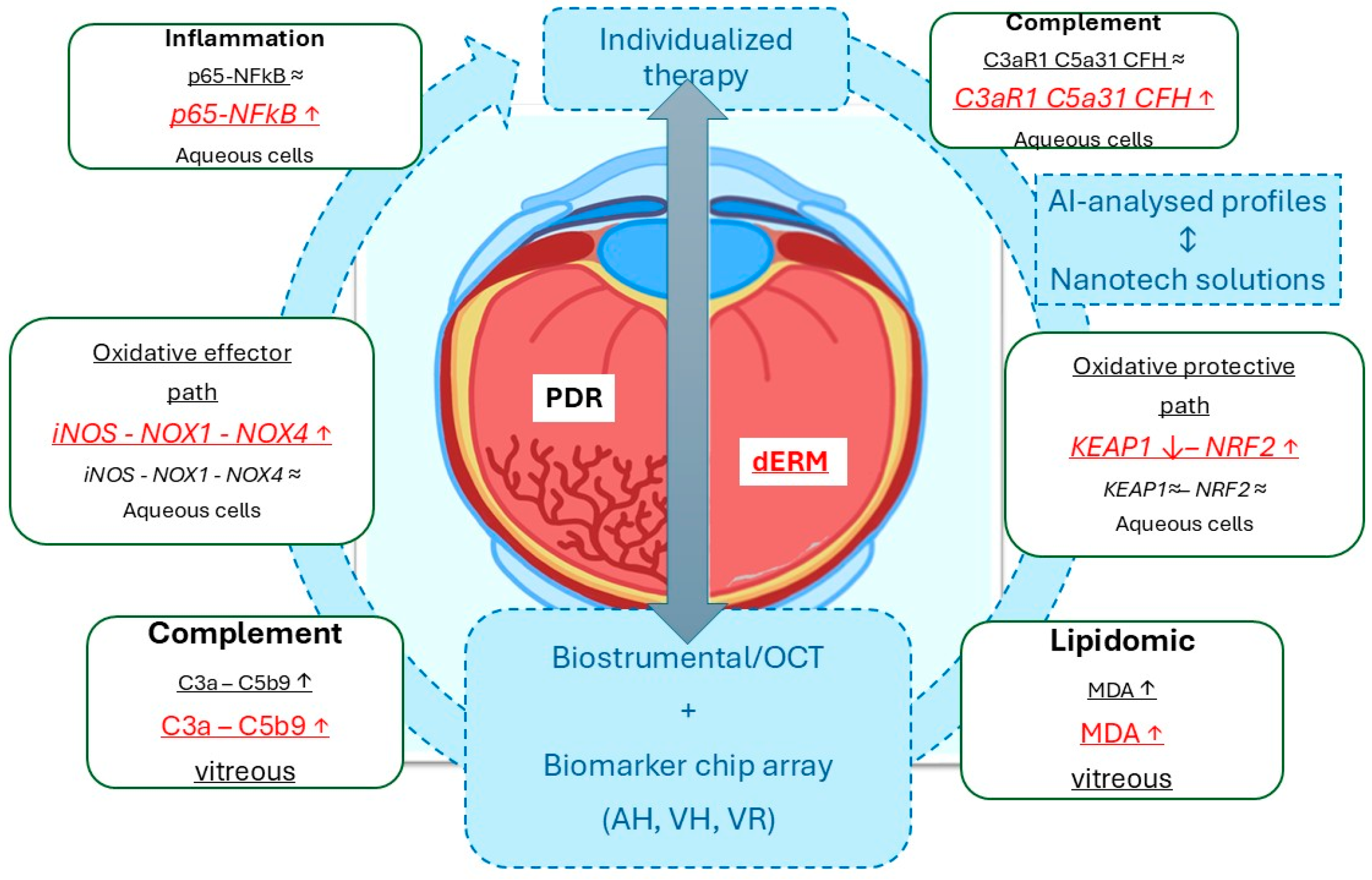Antioxidants 14 00841 g005
