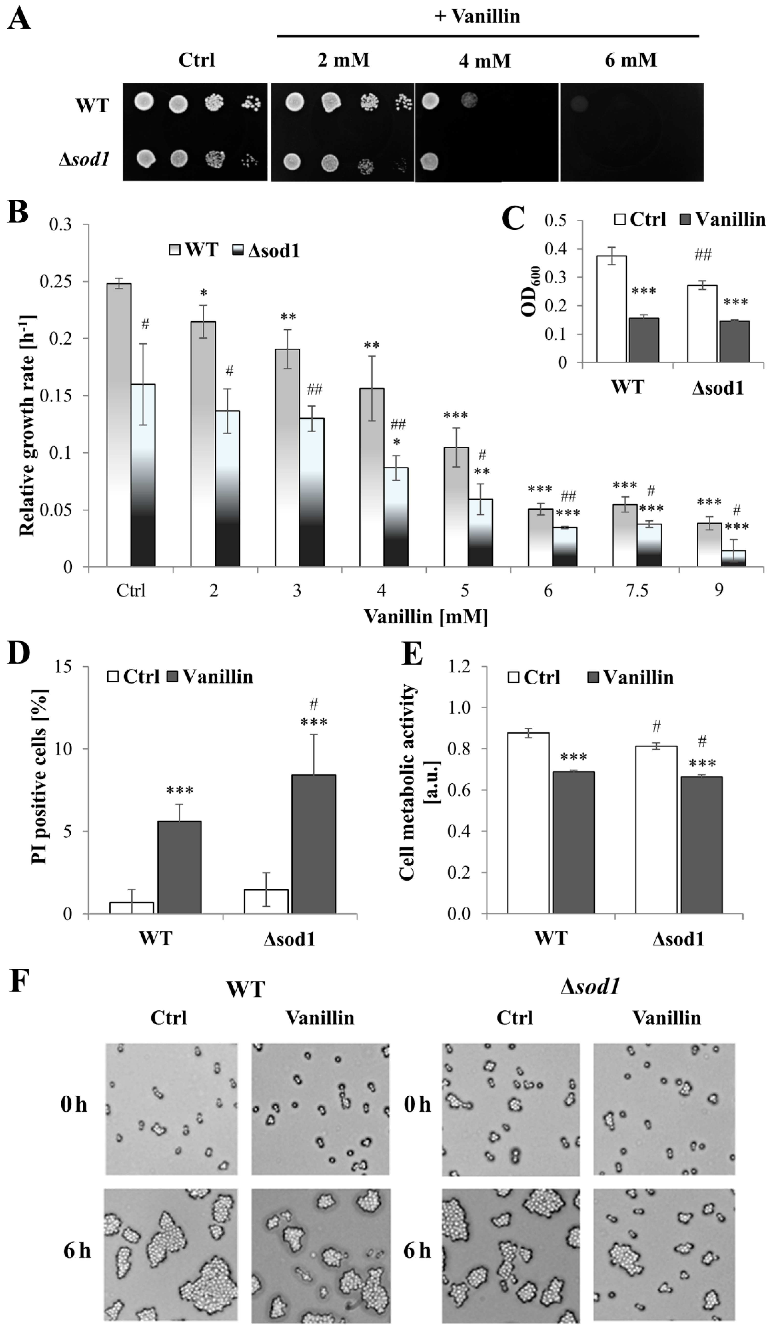 Antioxidants 14 00842 g001