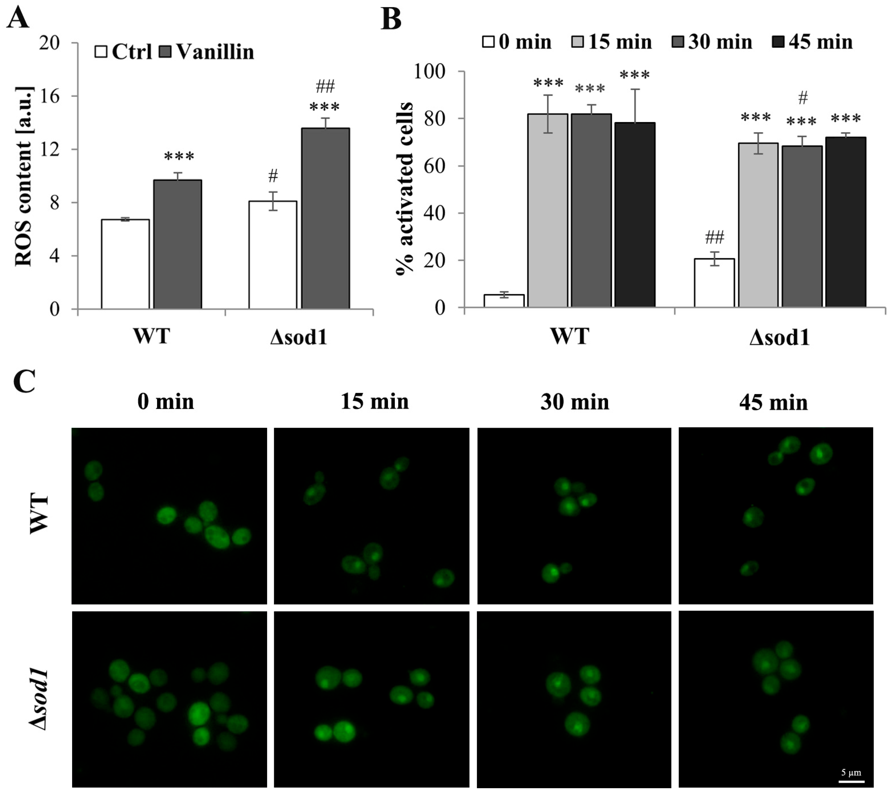 Antioxidants 14 00842 g002