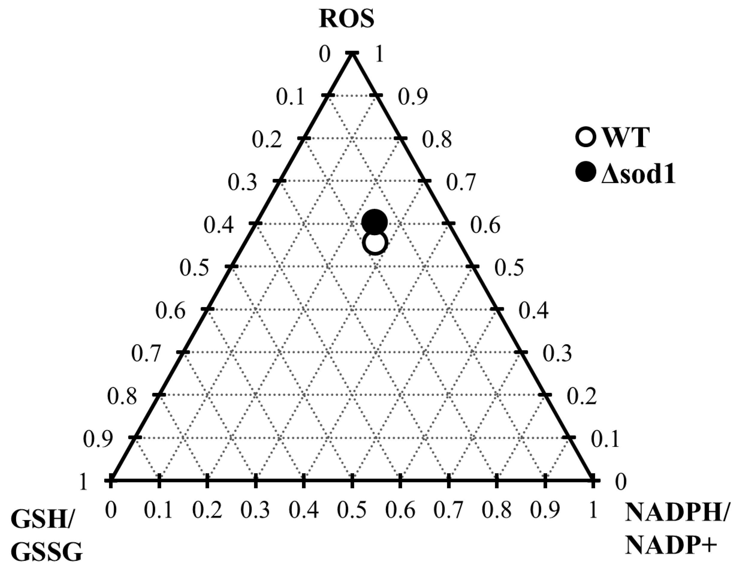 Antioxidants 14 00842 g007