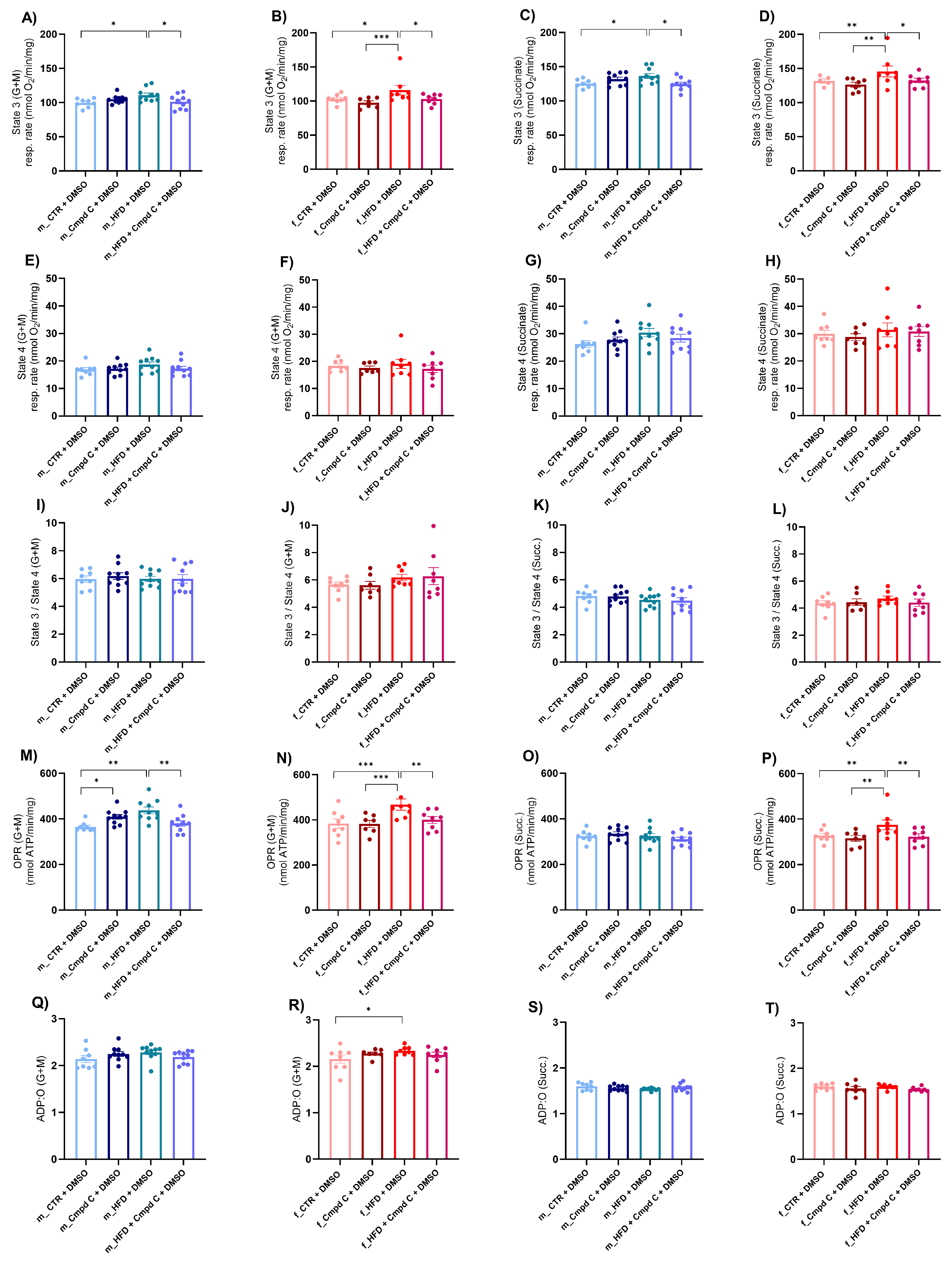 Antioxidants 14 00843 g004