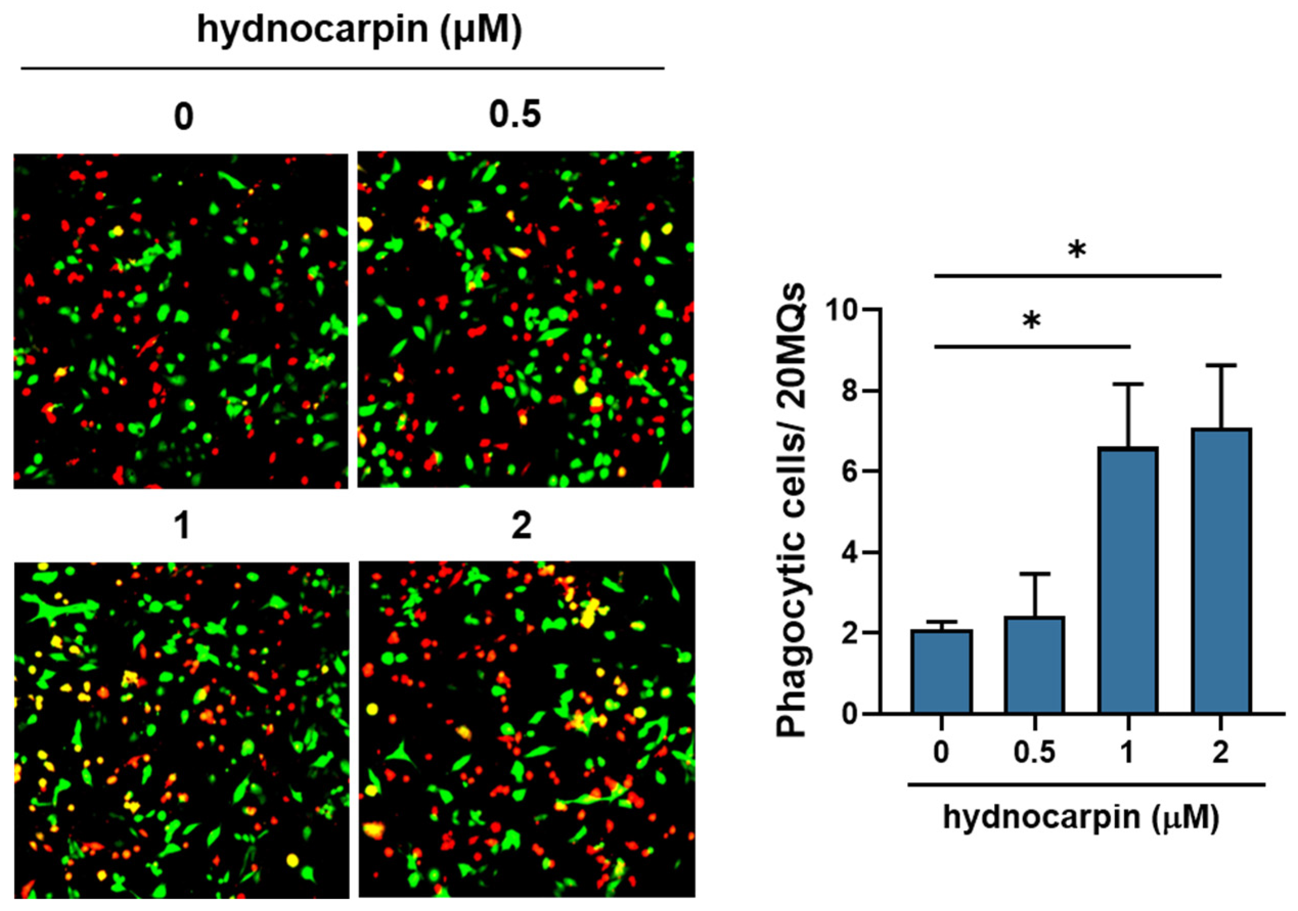 Antioxidants 14 00846 g005