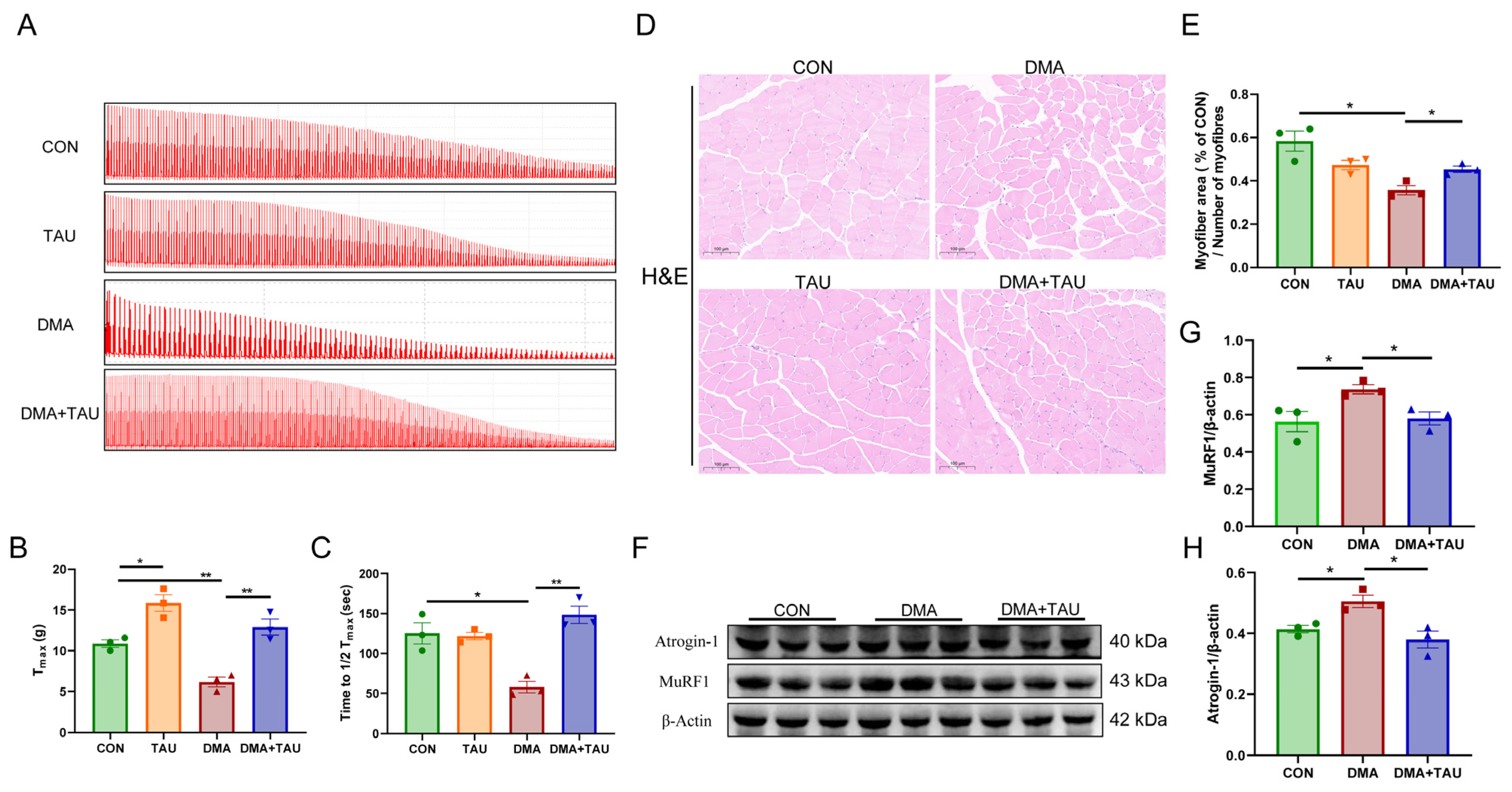 Antioxidants 14 00847 g002