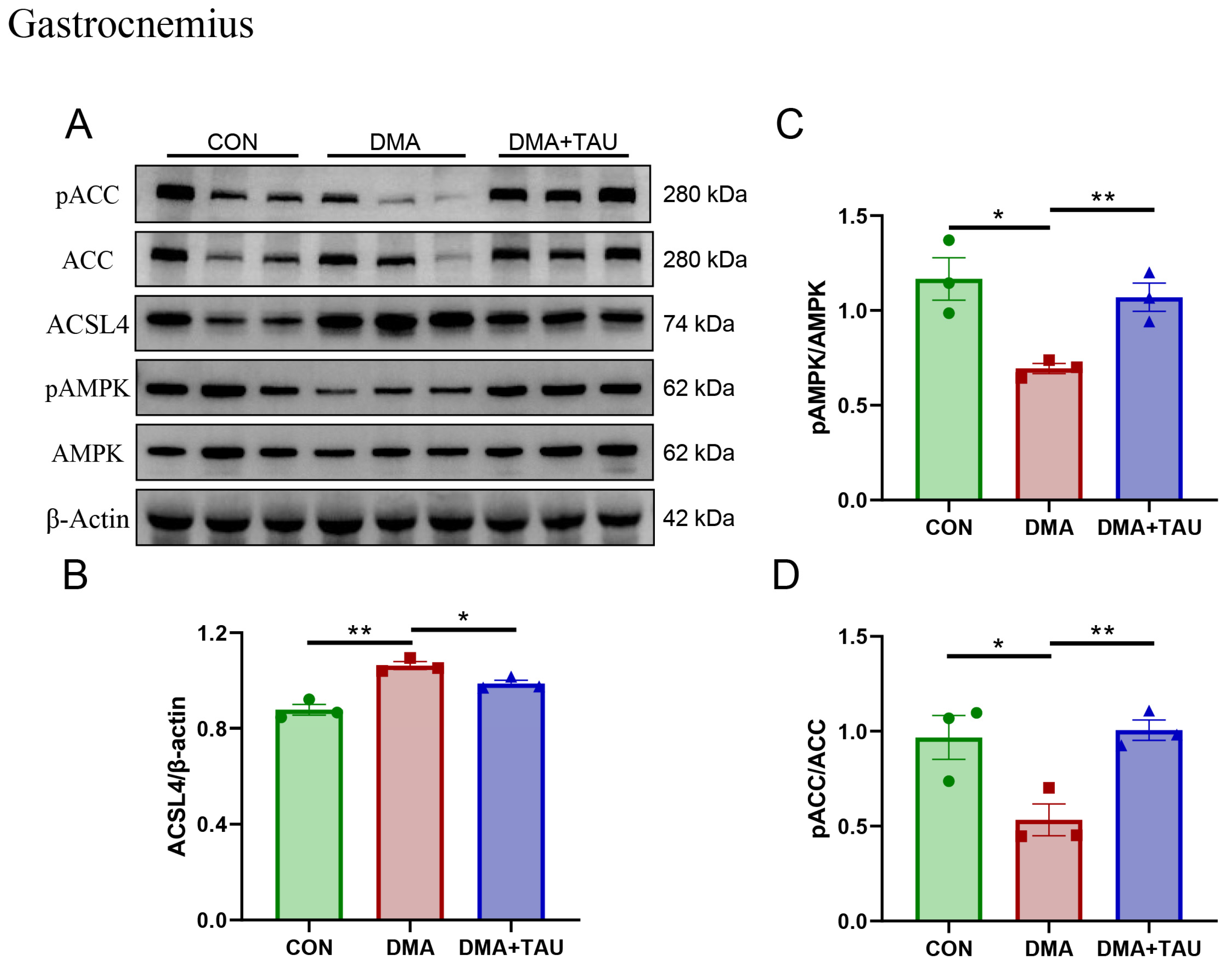 Antioxidants 14 00847 g005