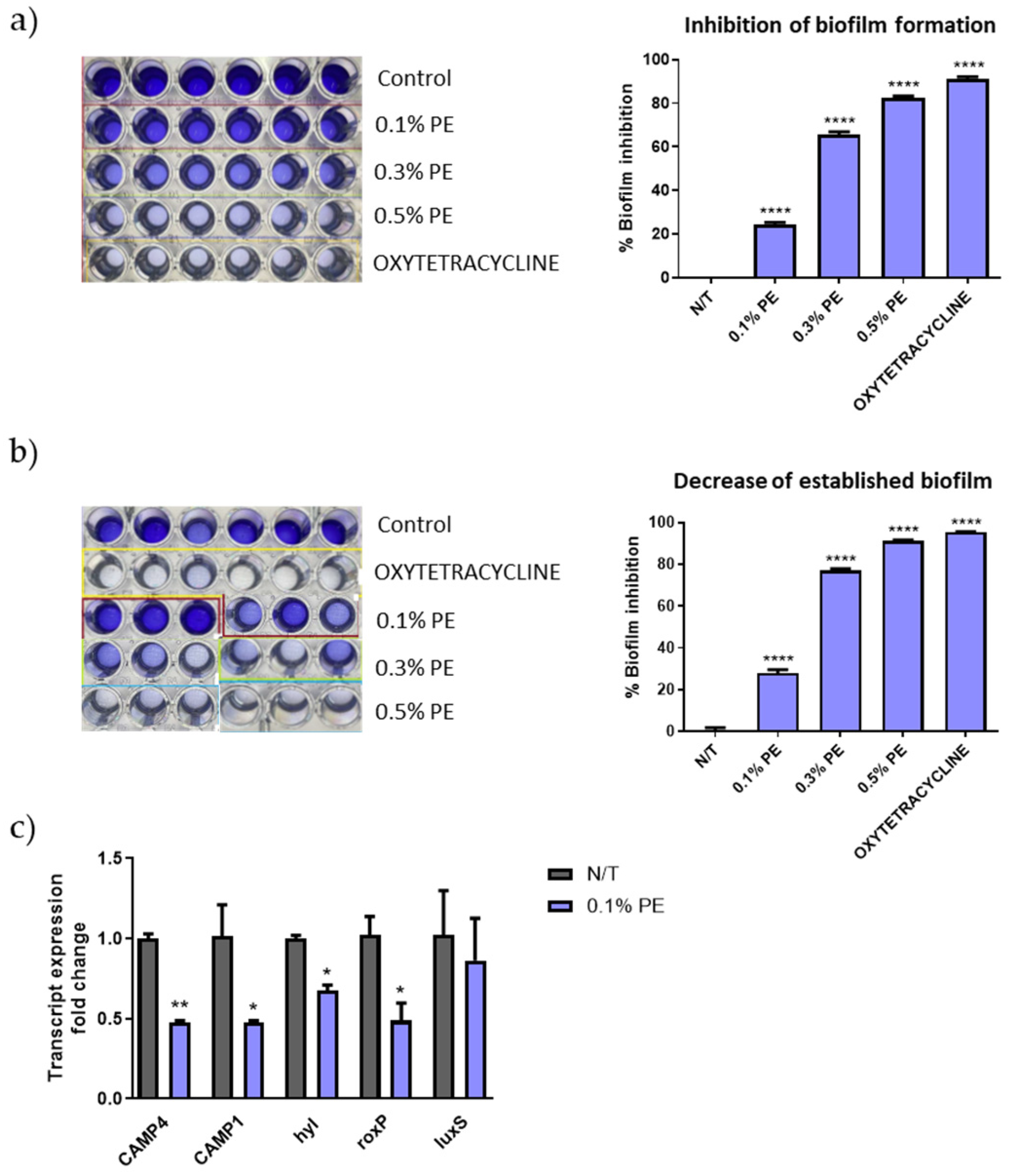 Antioxidants 14 00849 g001