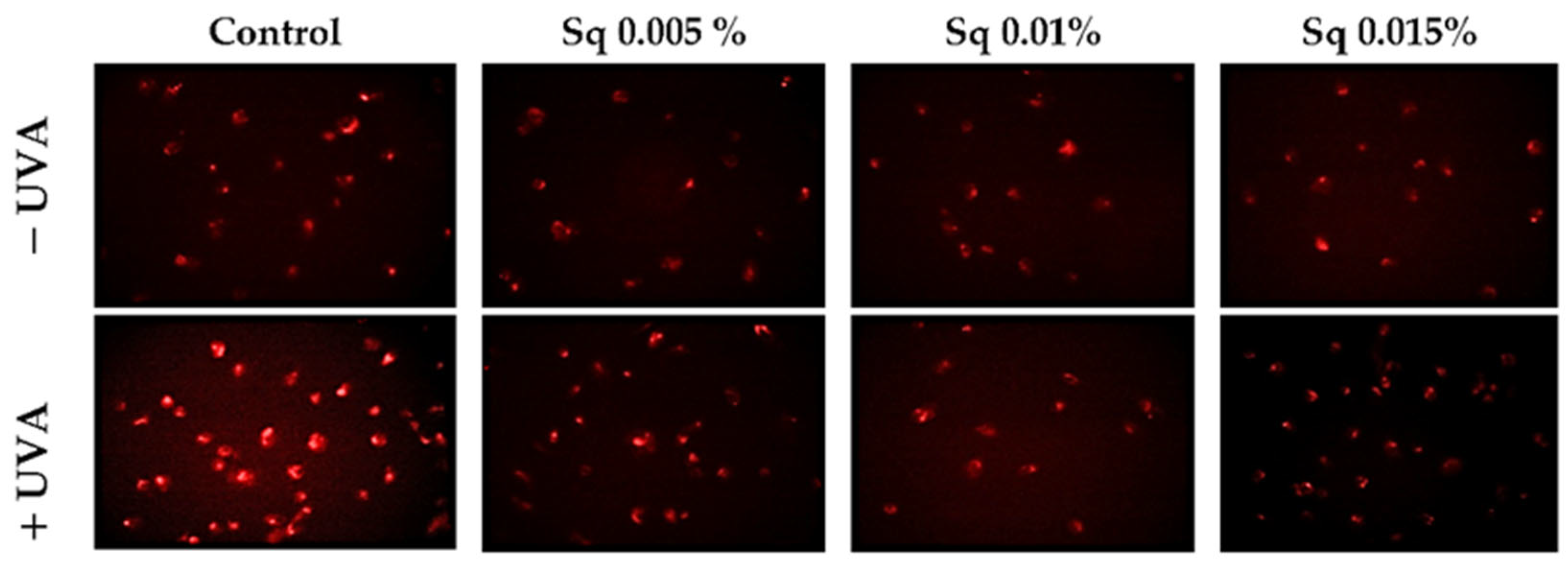 Antioxidants 14 00853 g001