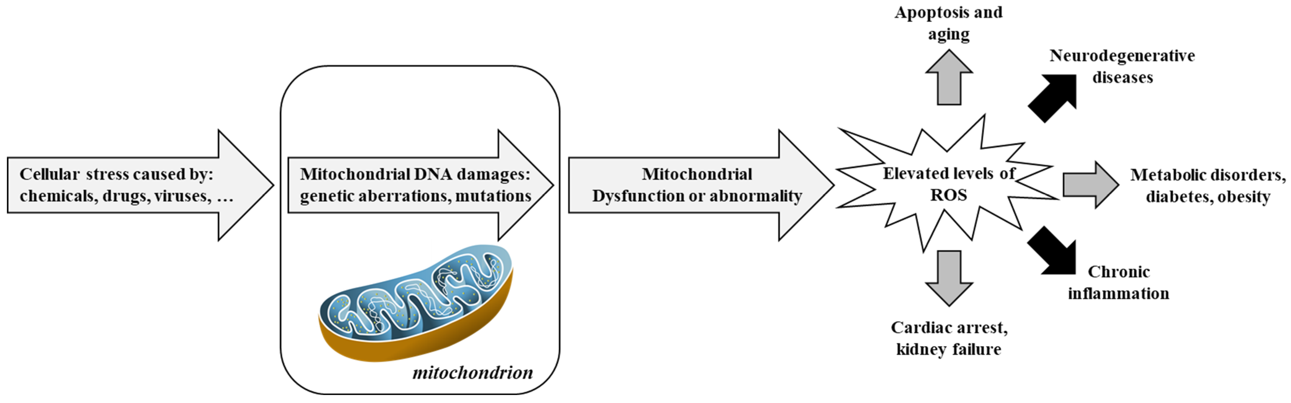 Antioxidants 14 00854 g003
