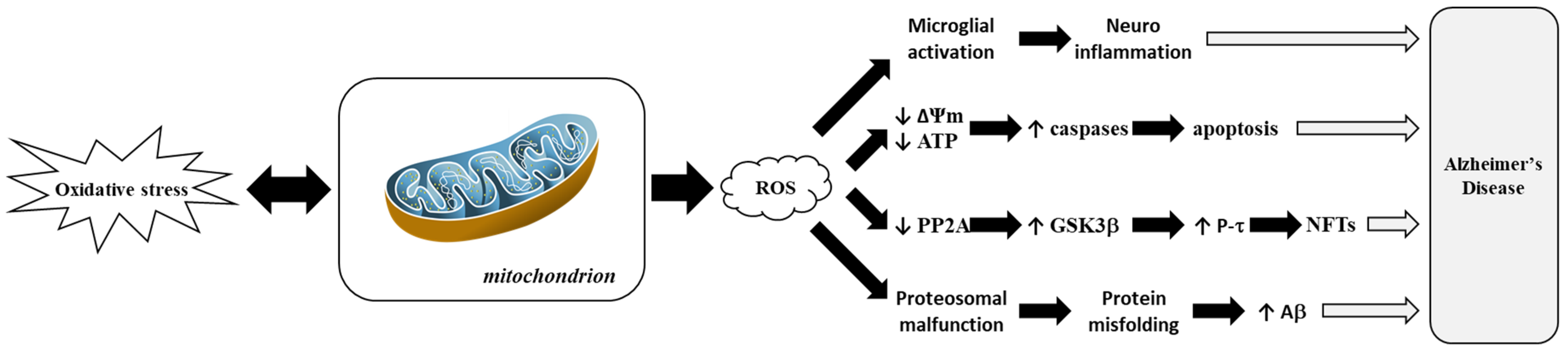 Antioxidants 14 00854 g005