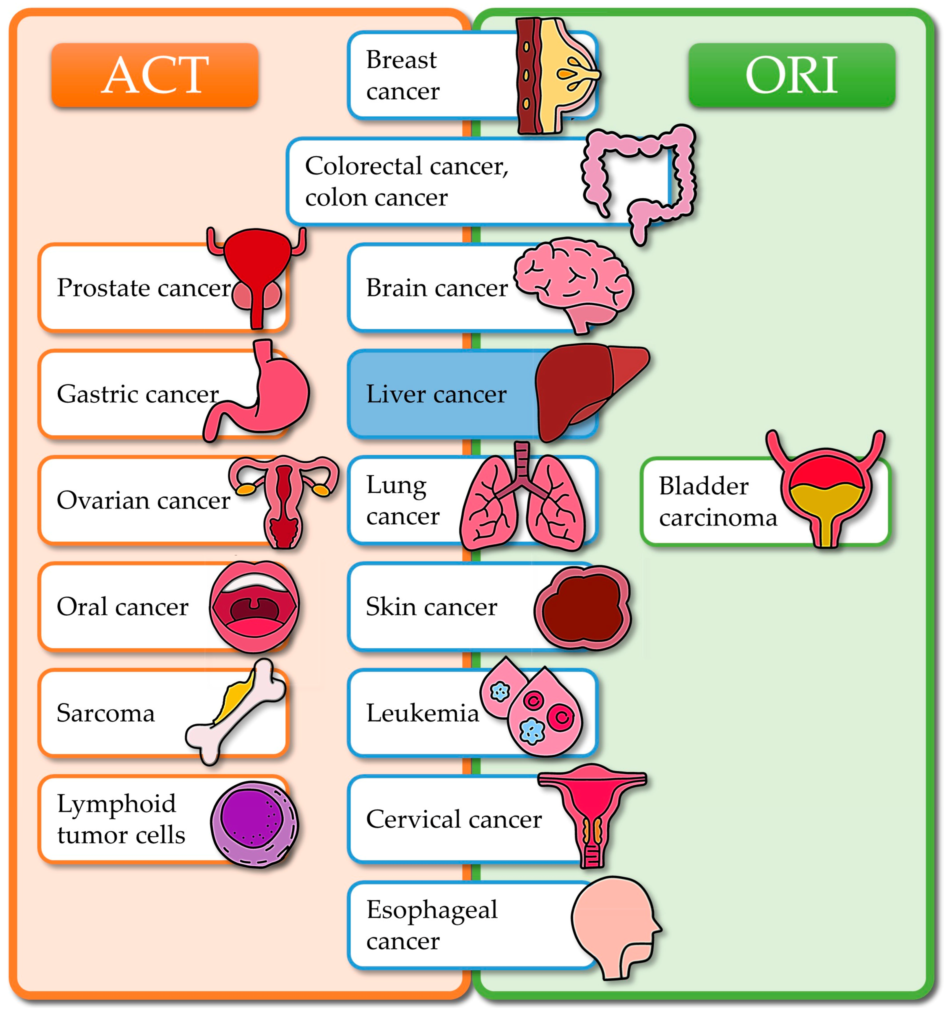 Antioxidants 14 00855 g002