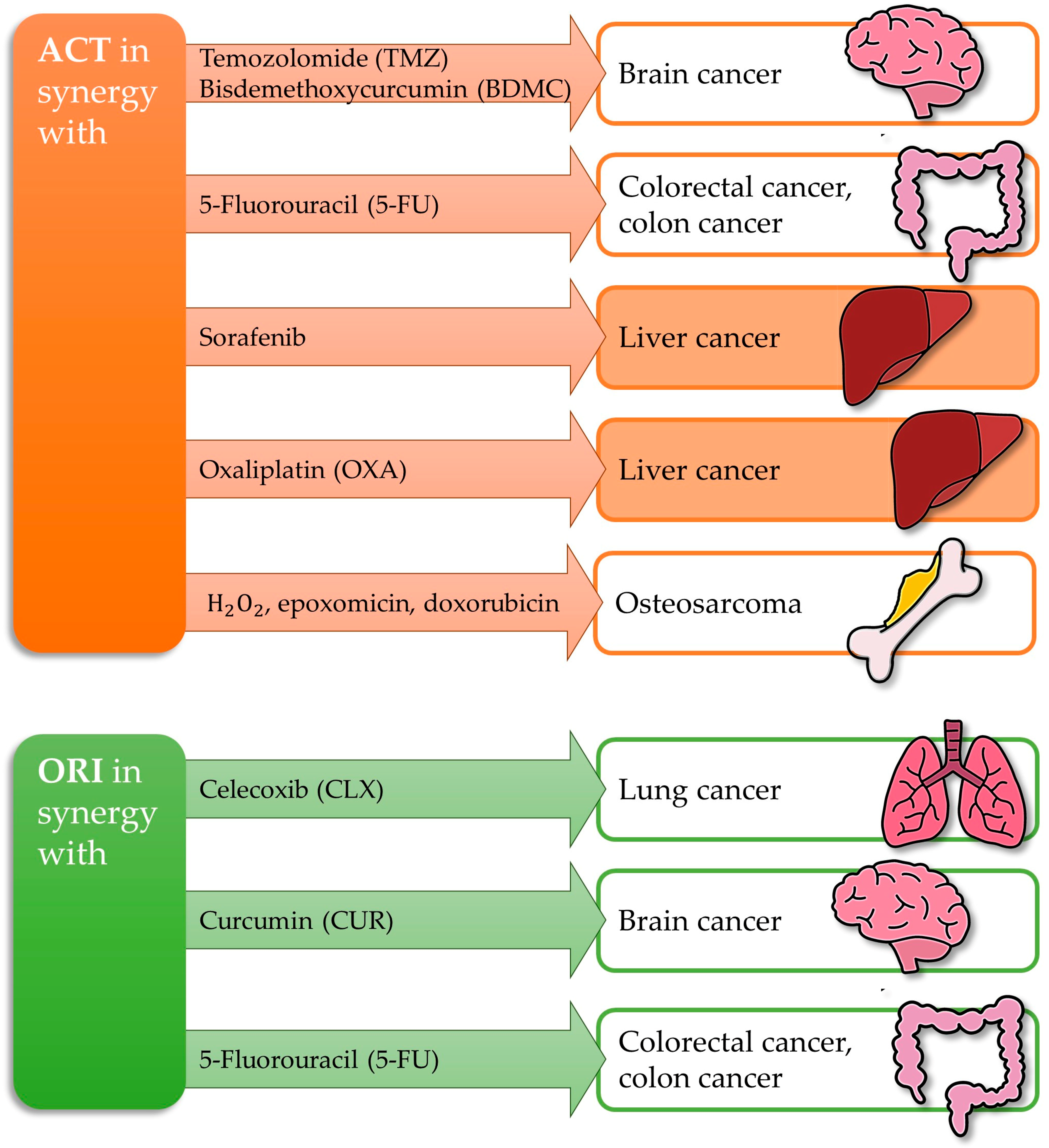 Antioxidants 14 00855 g003