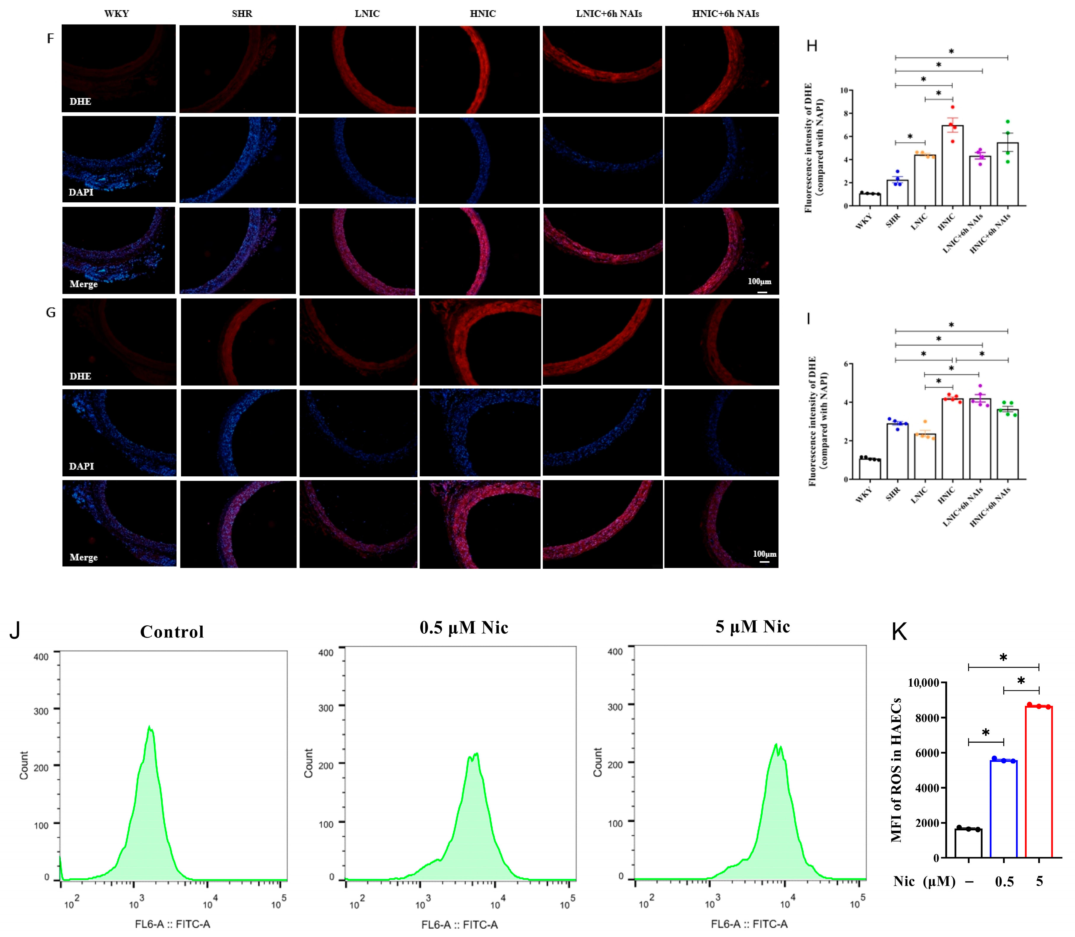 Antioxidants 14 00859 g002b