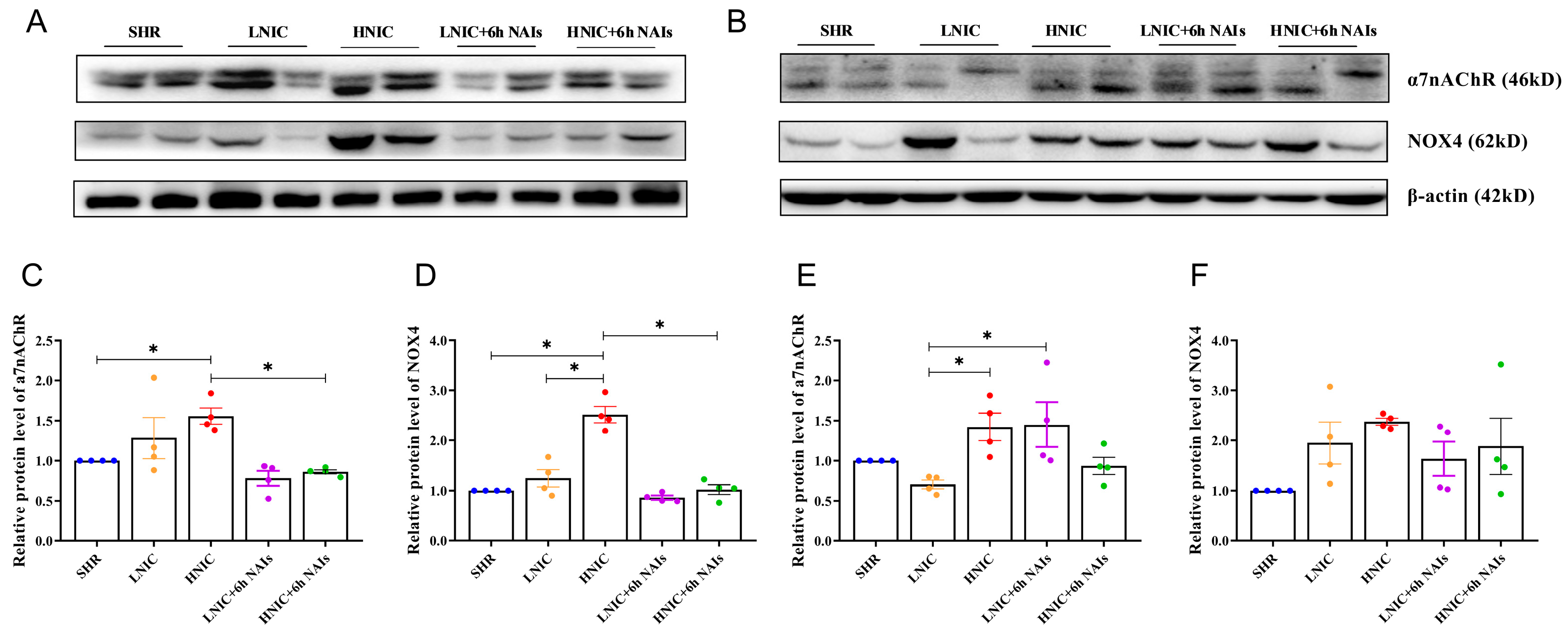 Antioxidants 14 00859 g003a