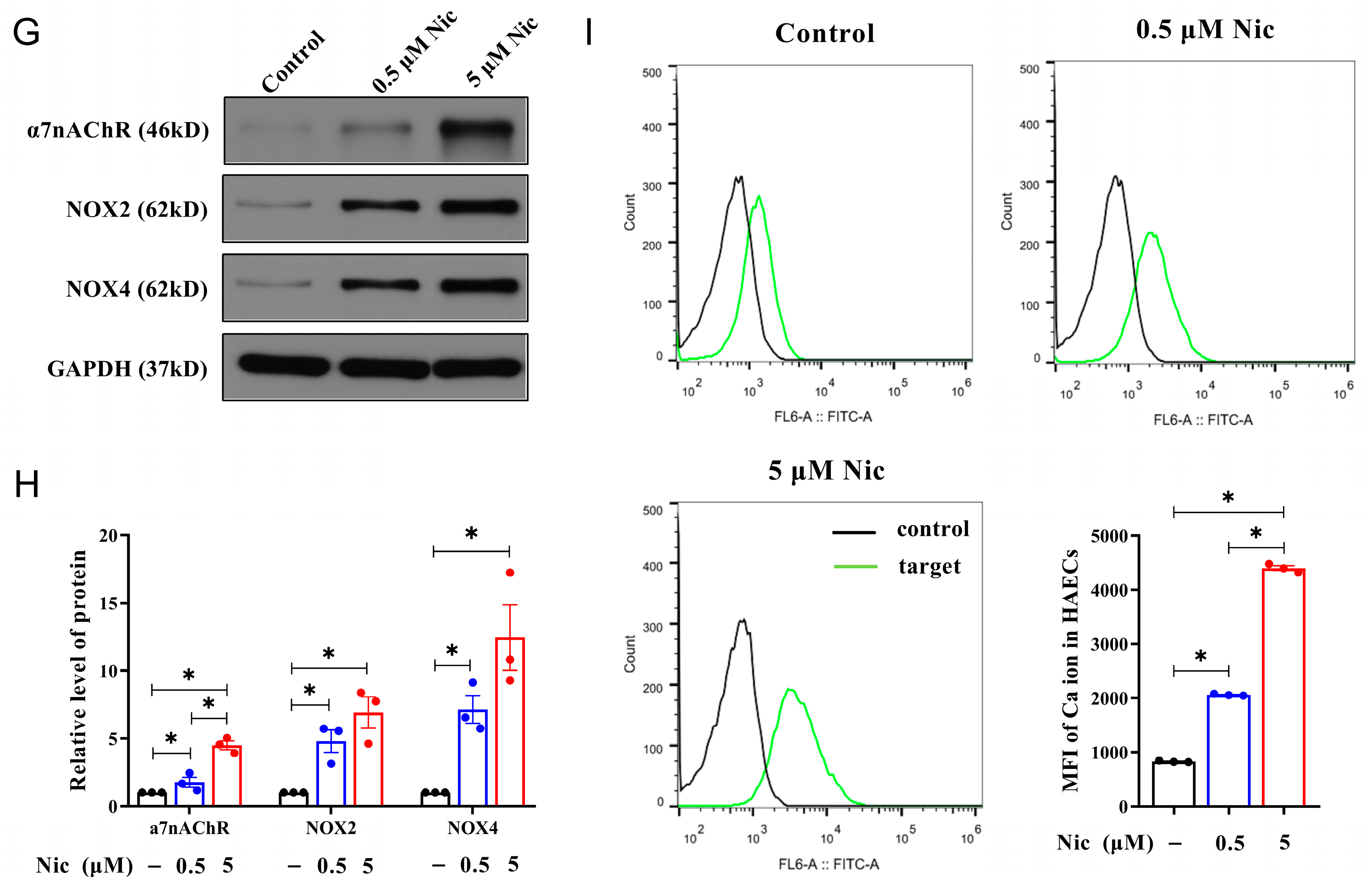 Antioxidants 14 00859 g003b