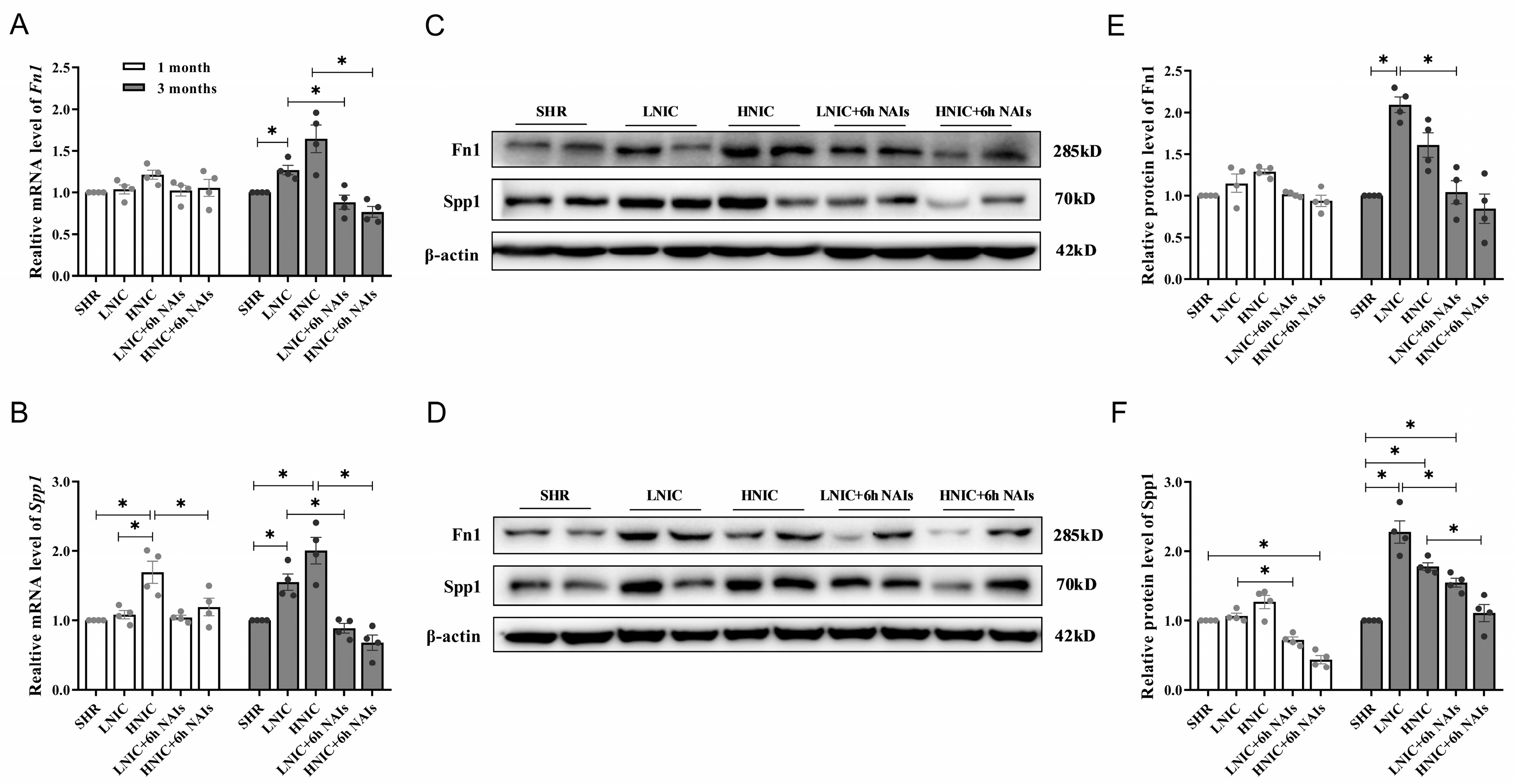 Antioxidants 14 00859 g007a