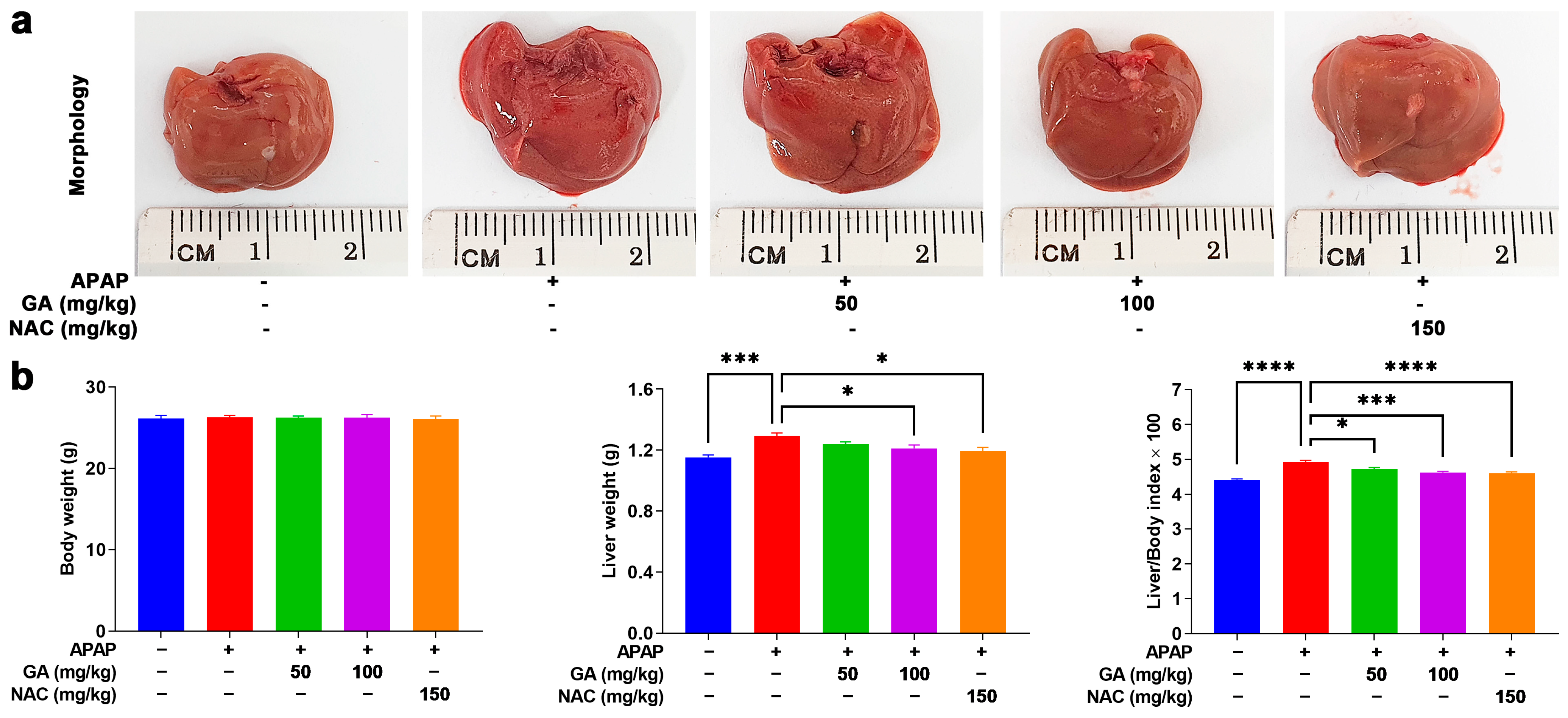 Antioxidants 14 00860 g001