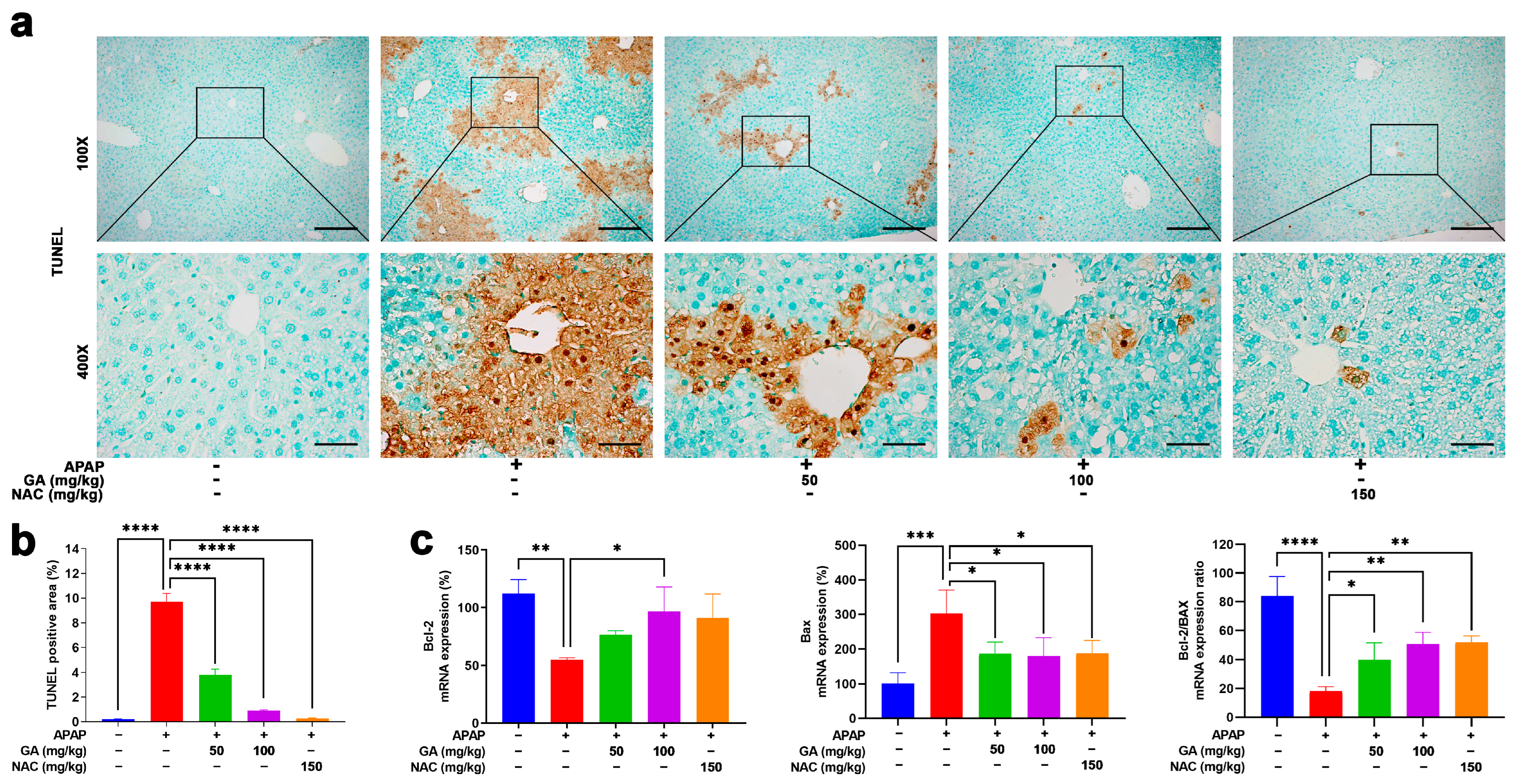 Antioxidants 14 00860 g003