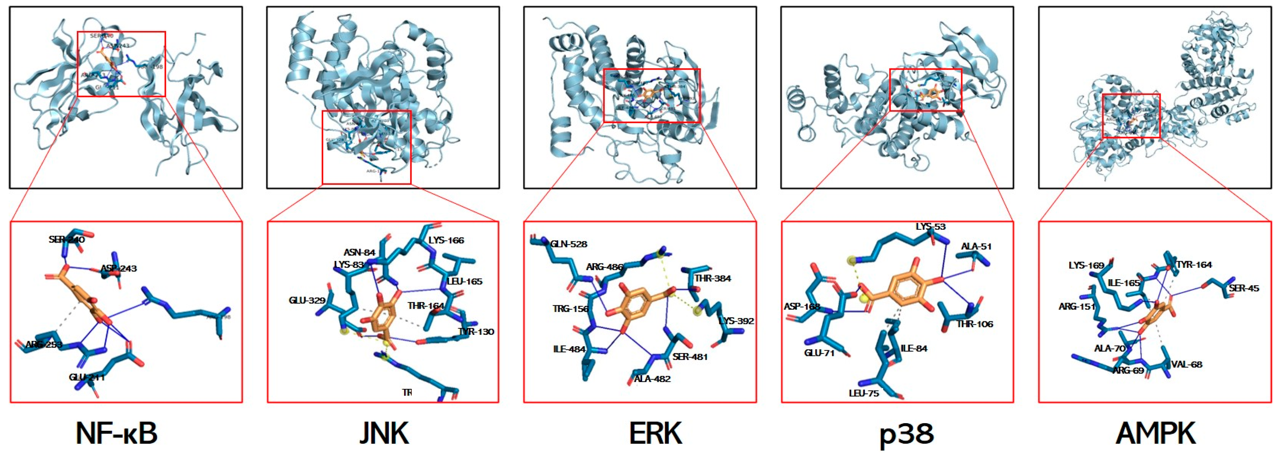Antioxidants 14 00860 g007