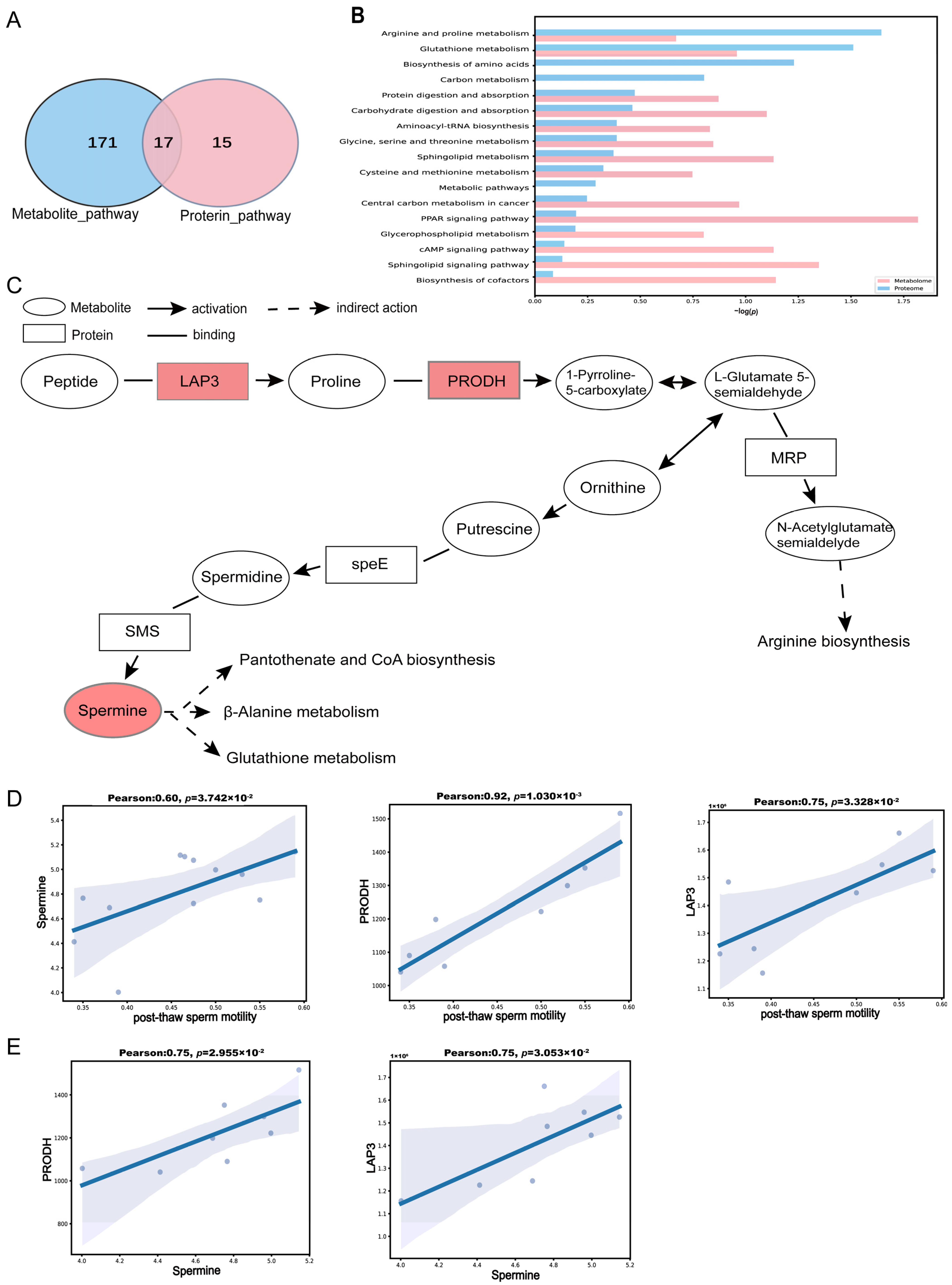 Antioxidants 14 00861 g006