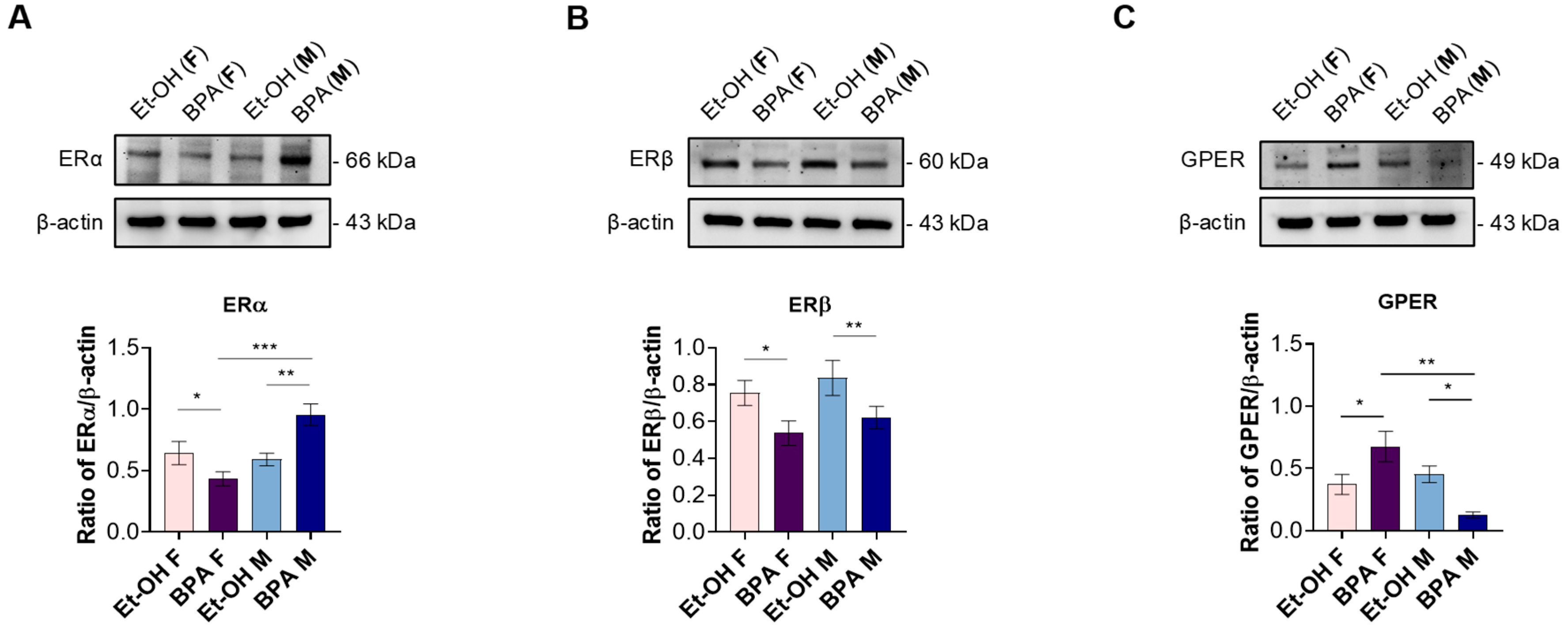 Antioxidants 14 00863 g001