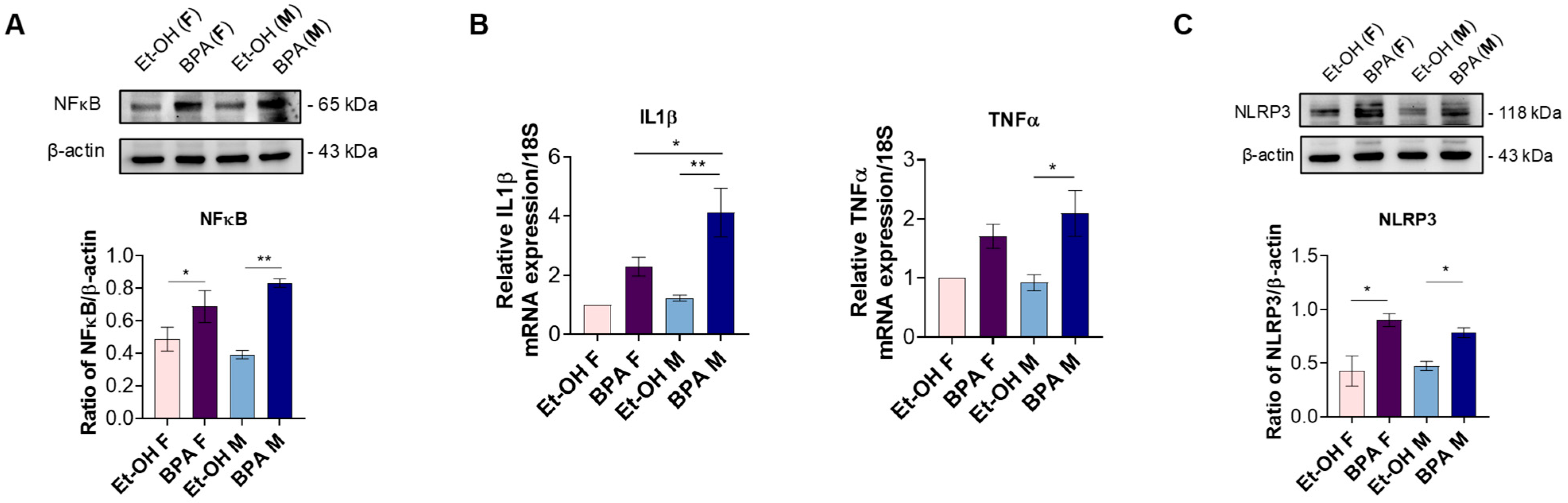 Antioxidants 14 00863 g002