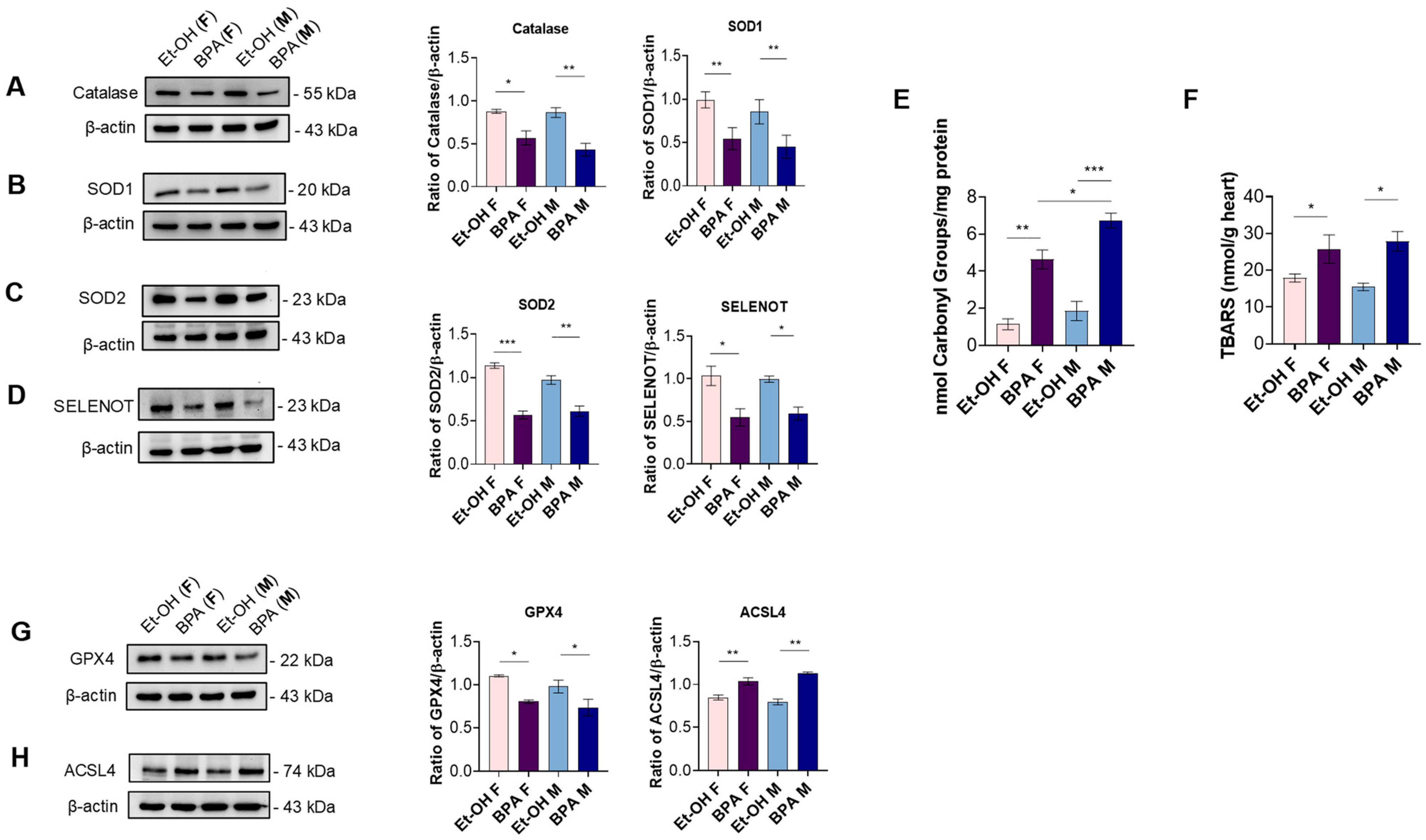Antioxidants 14 00863 g003