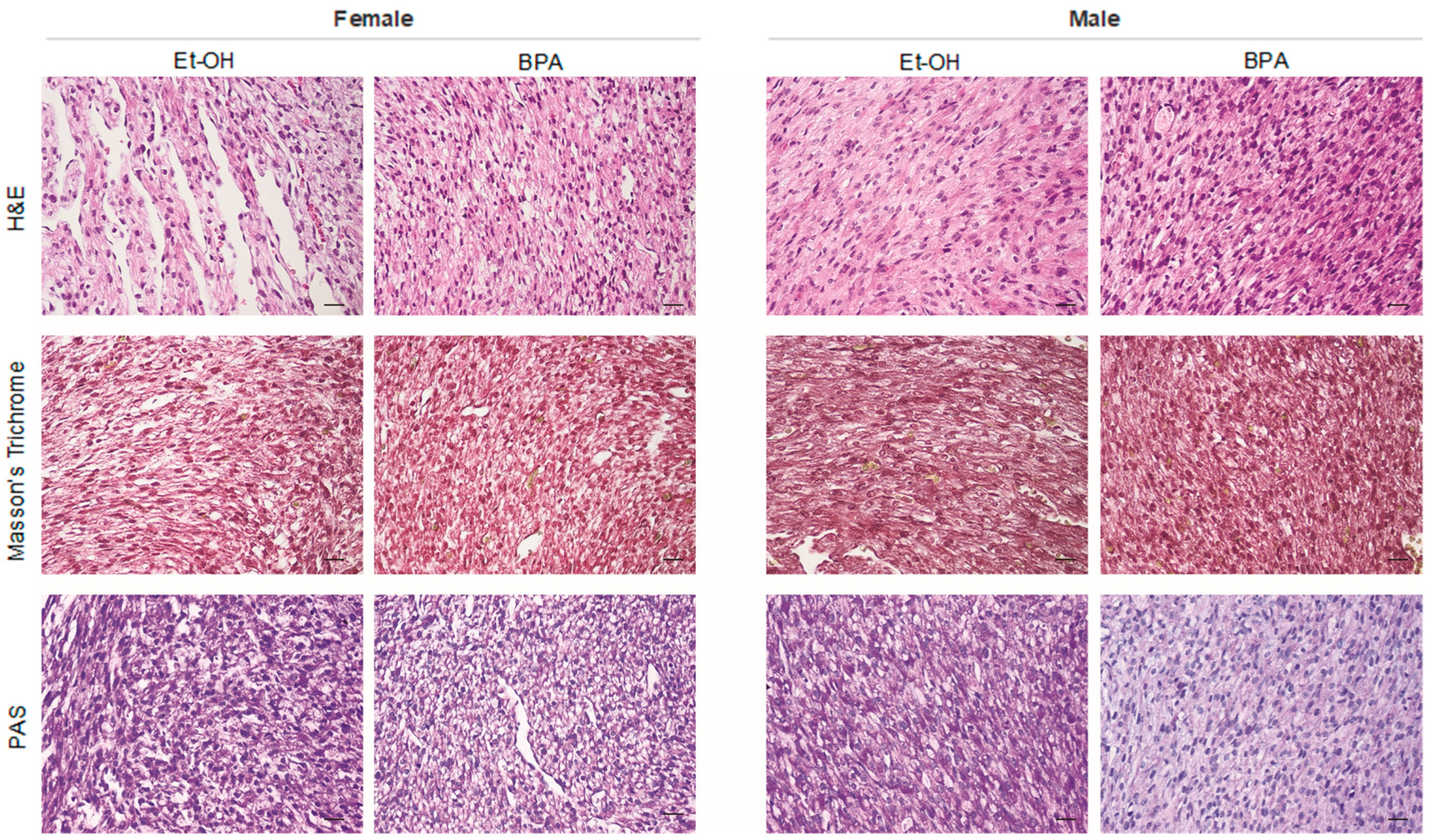 Antioxidants 14 00863 g005