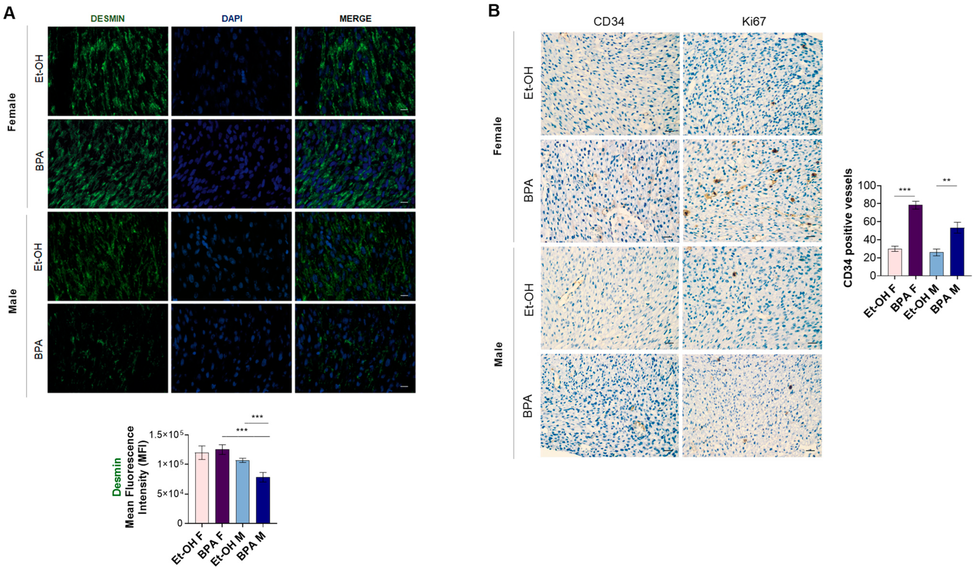 Antioxidants 14 00863 g006