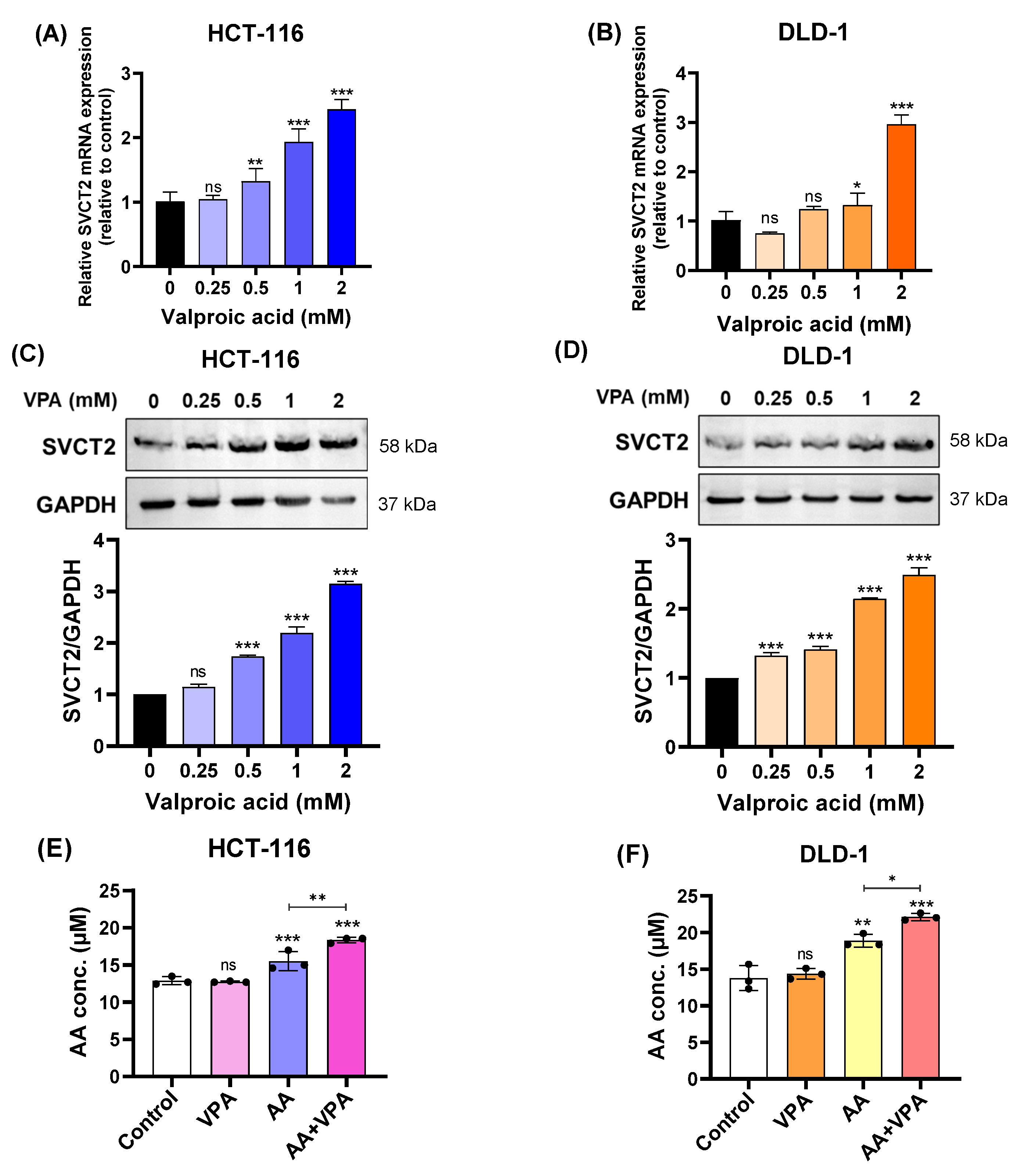 Antioxidants 14 00864 g002