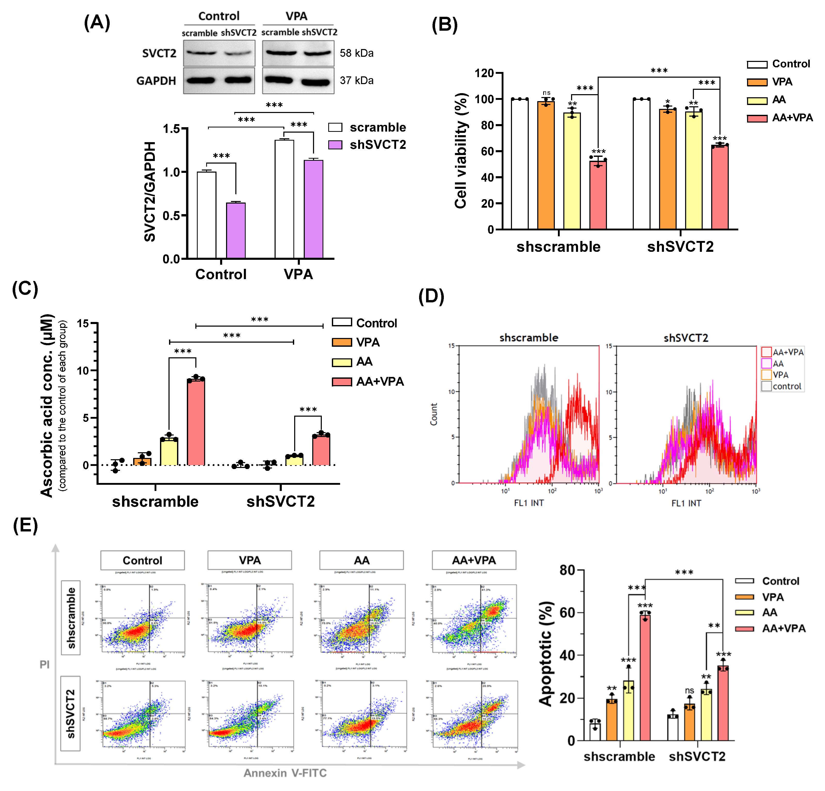Antioxidants 14 00864 g004