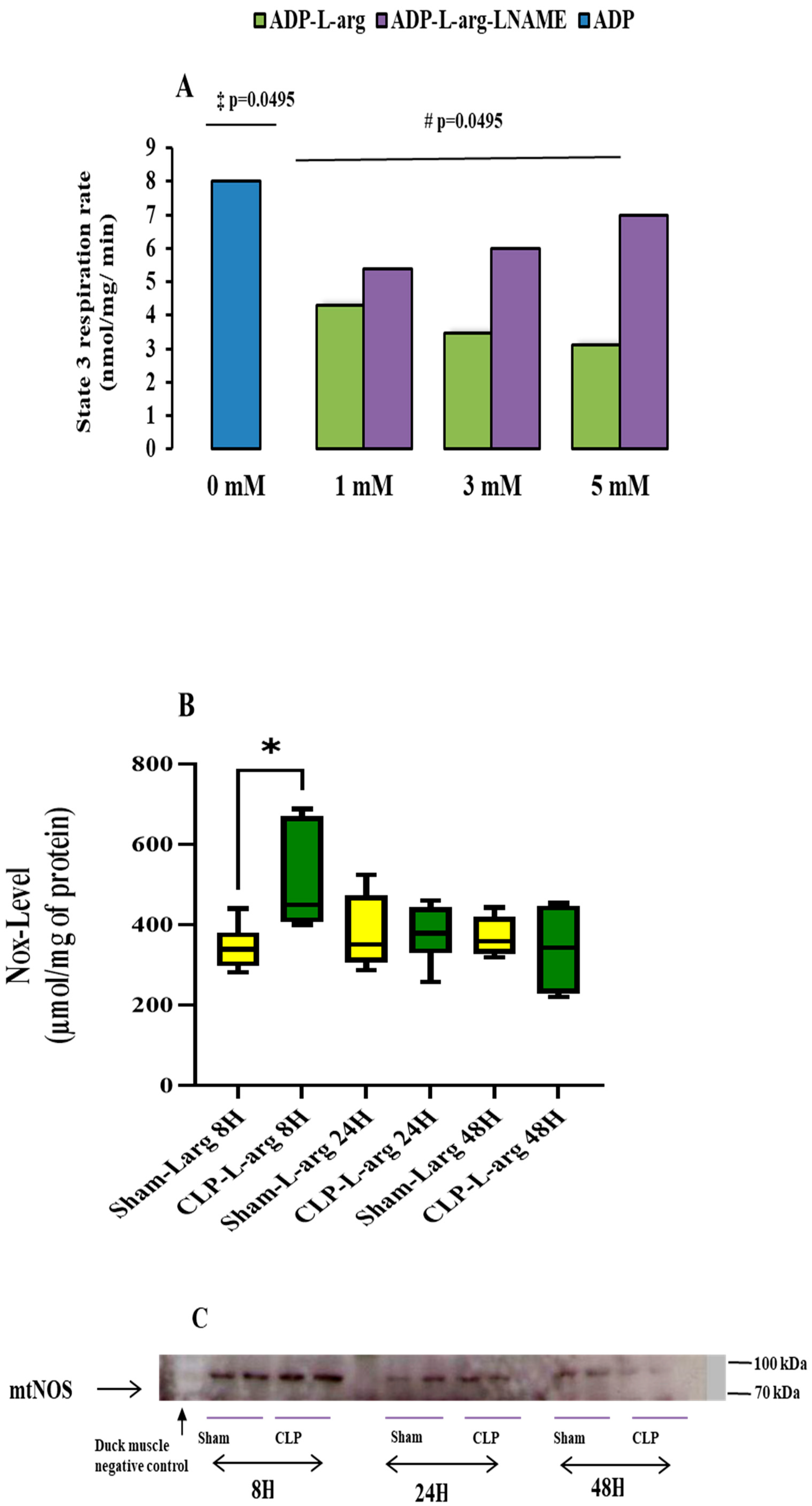 Antioxidants 14 00868 g002