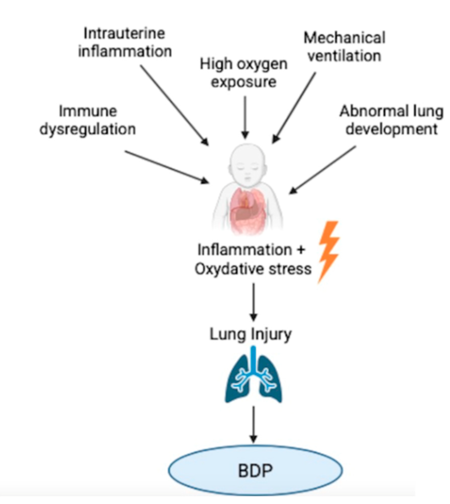 Antioxidants 14 00869 g001