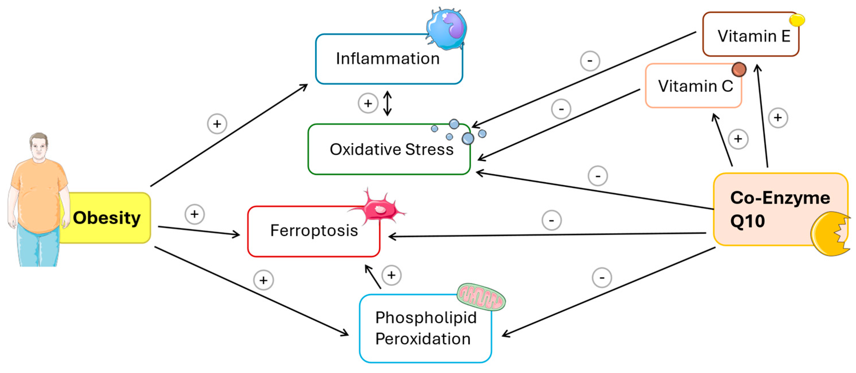 Antioxidants 14 00871 g001