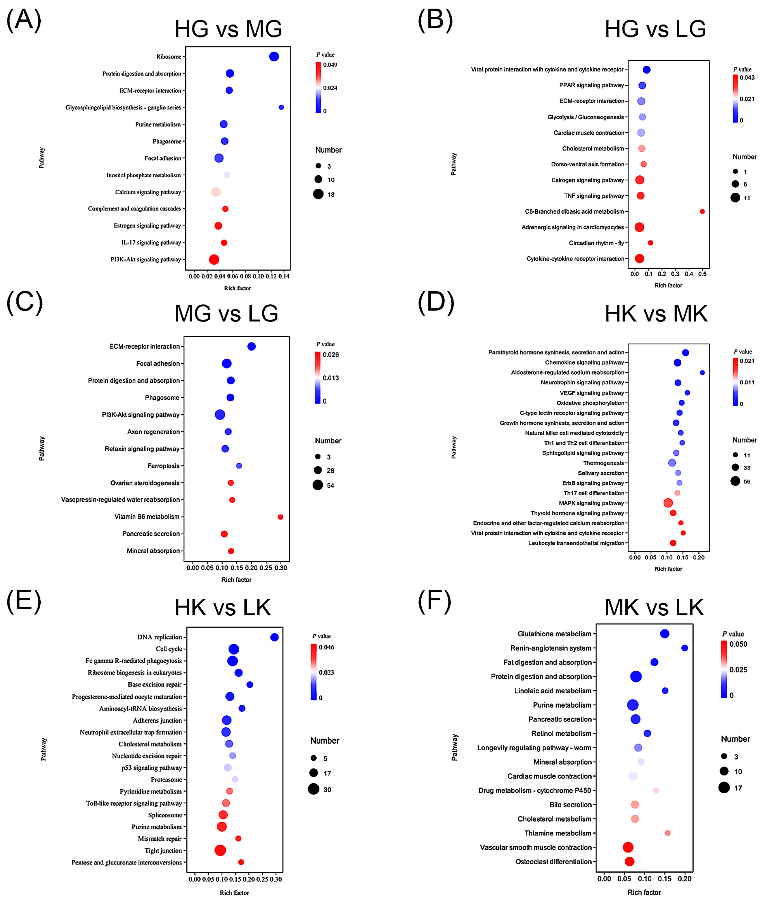 Antioxidants 14 00872 g005