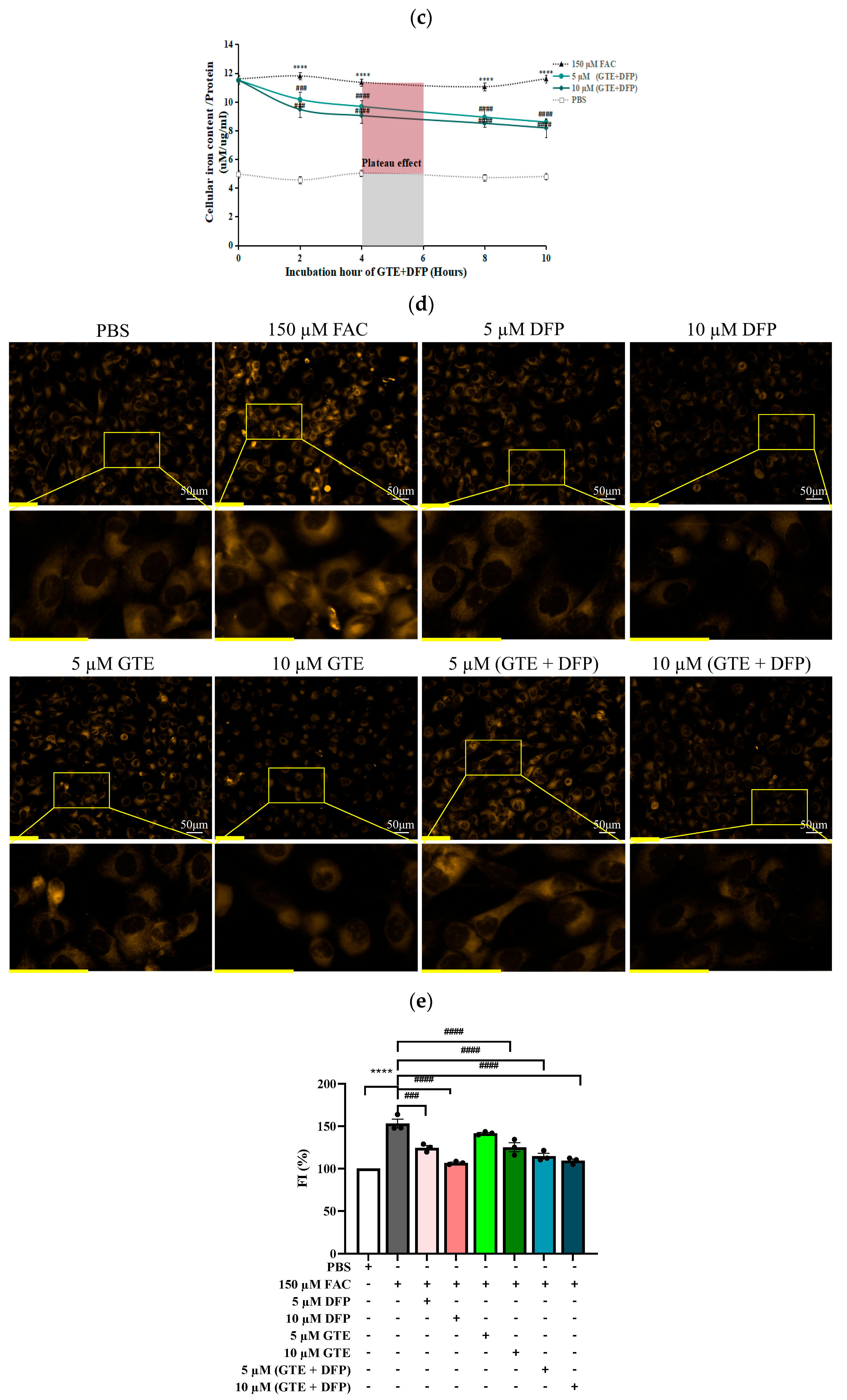 Antioxidants 14 00874 g002b