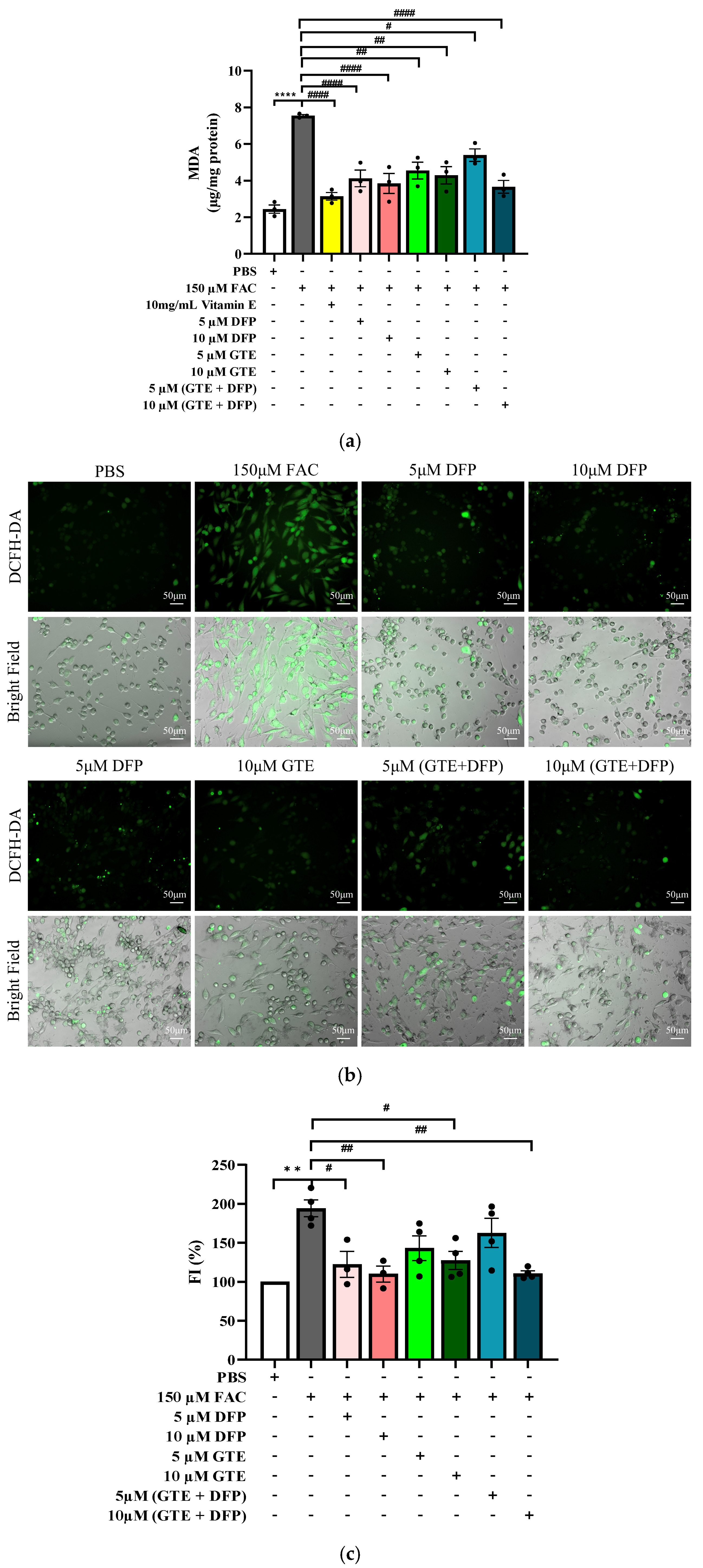Antioxidants 14 00874 g003