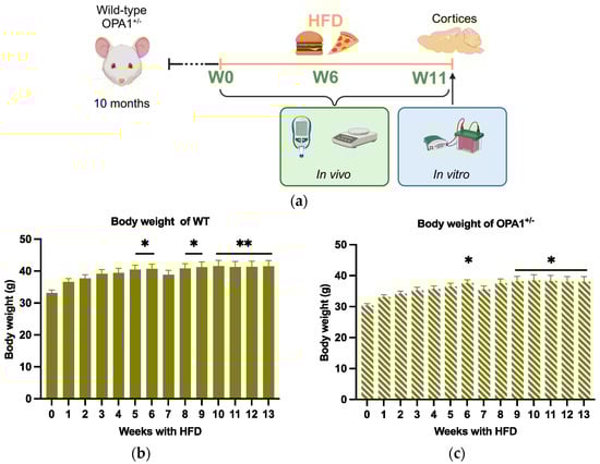 Antioxidants 14 00876 g001