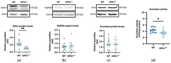 Antioxidants 14 00876 g003