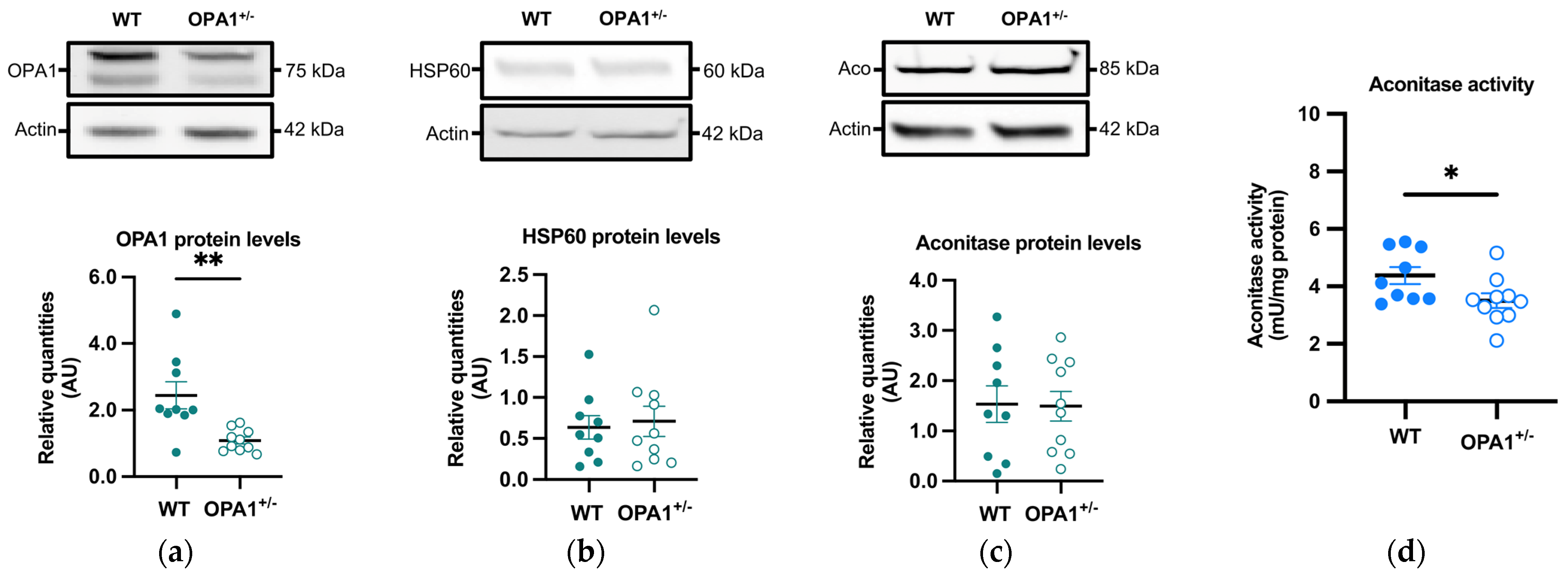 Antioxidants 14 00876 g003