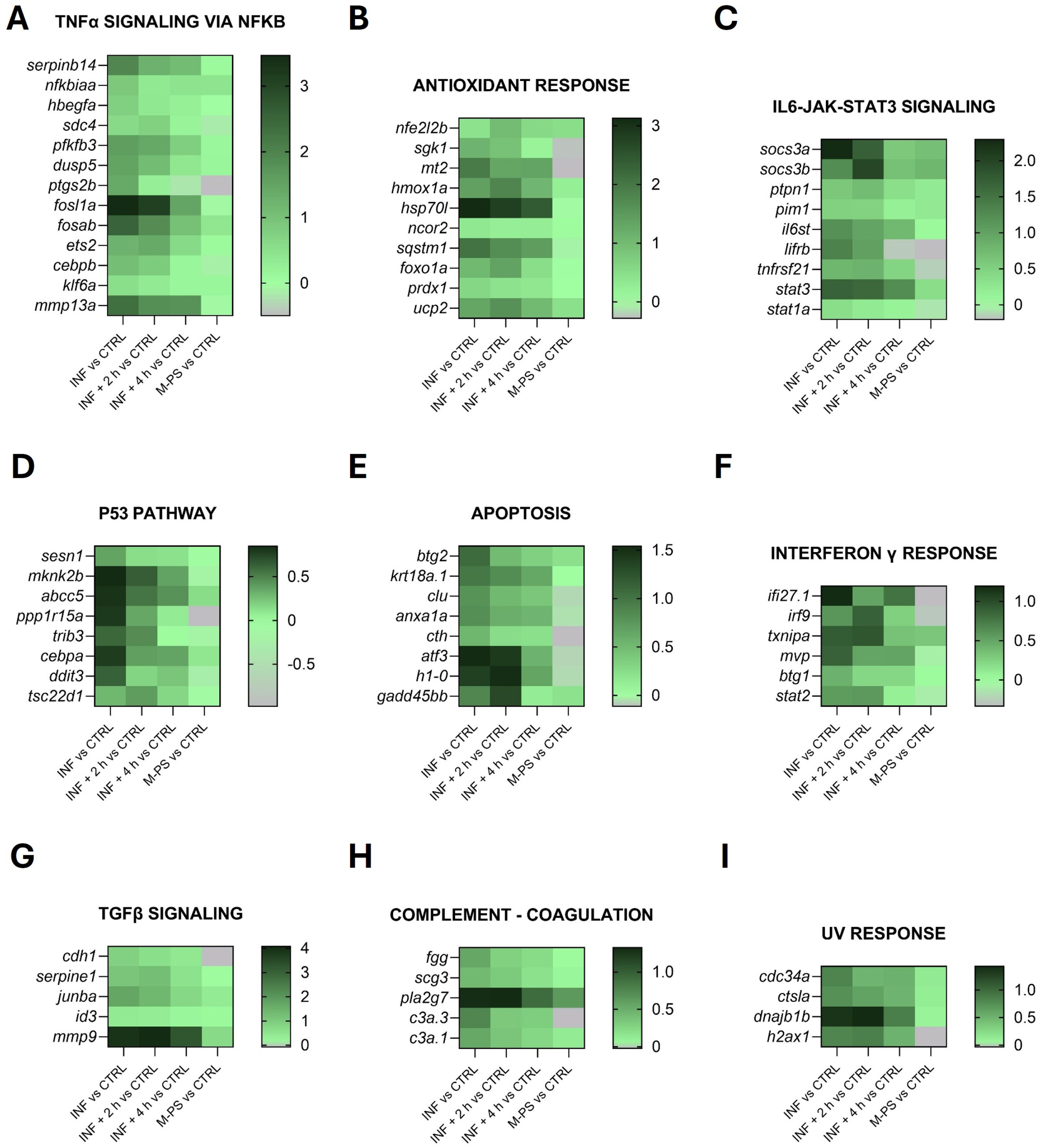 Antioxidants 14 00878 g003