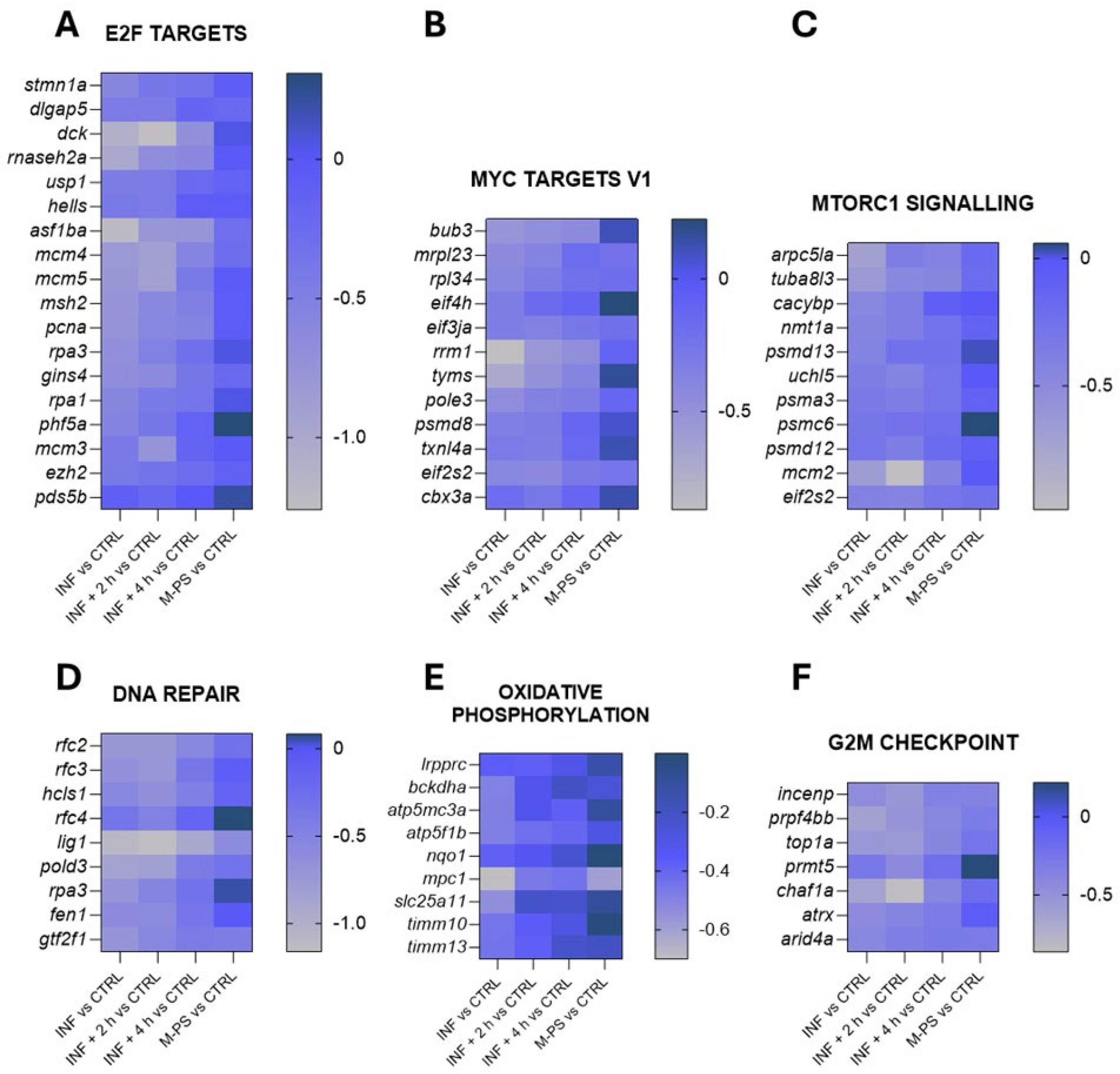 Antioxidants 14 00878 g004