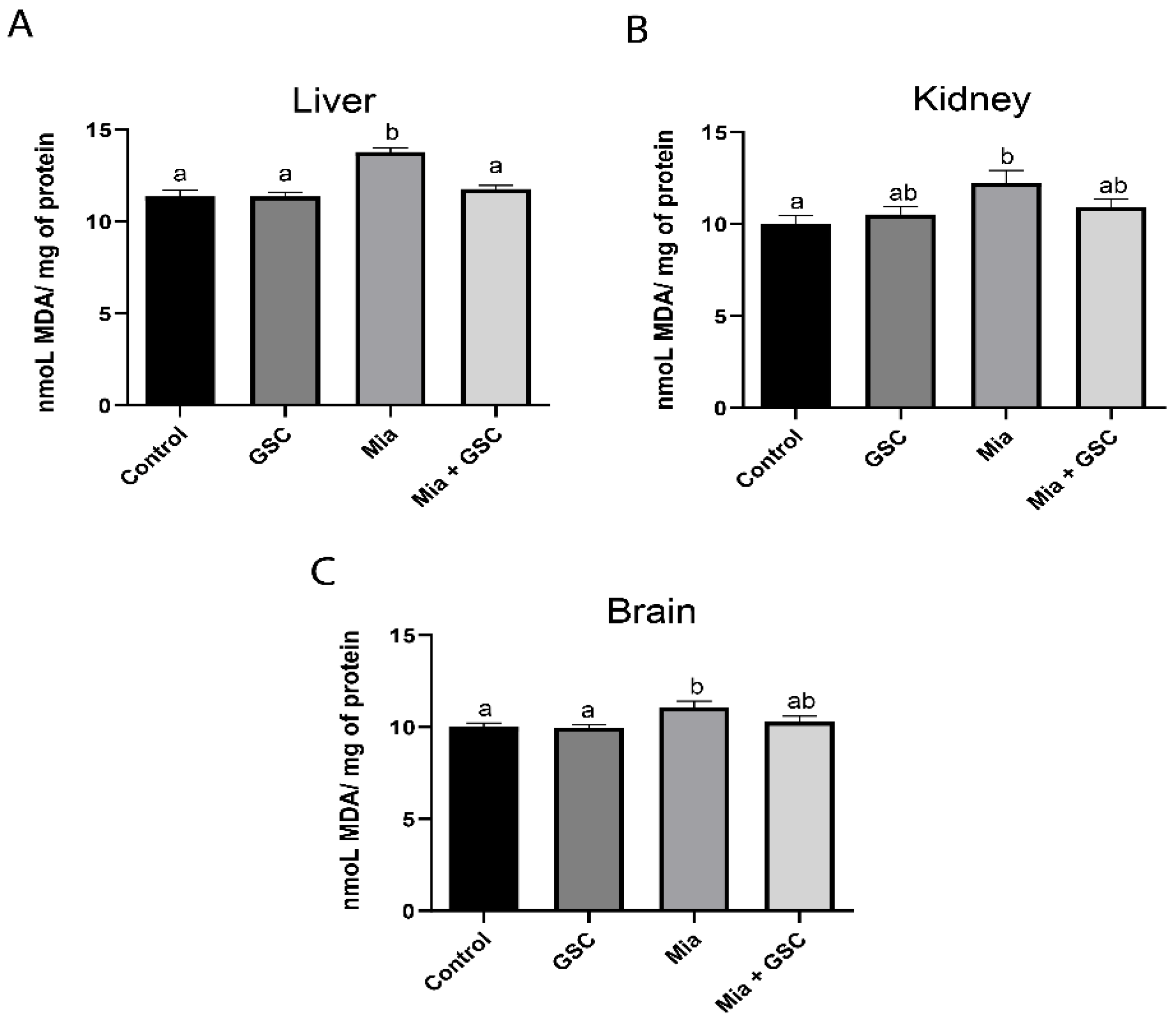 Antioxidants 14 00881 g001