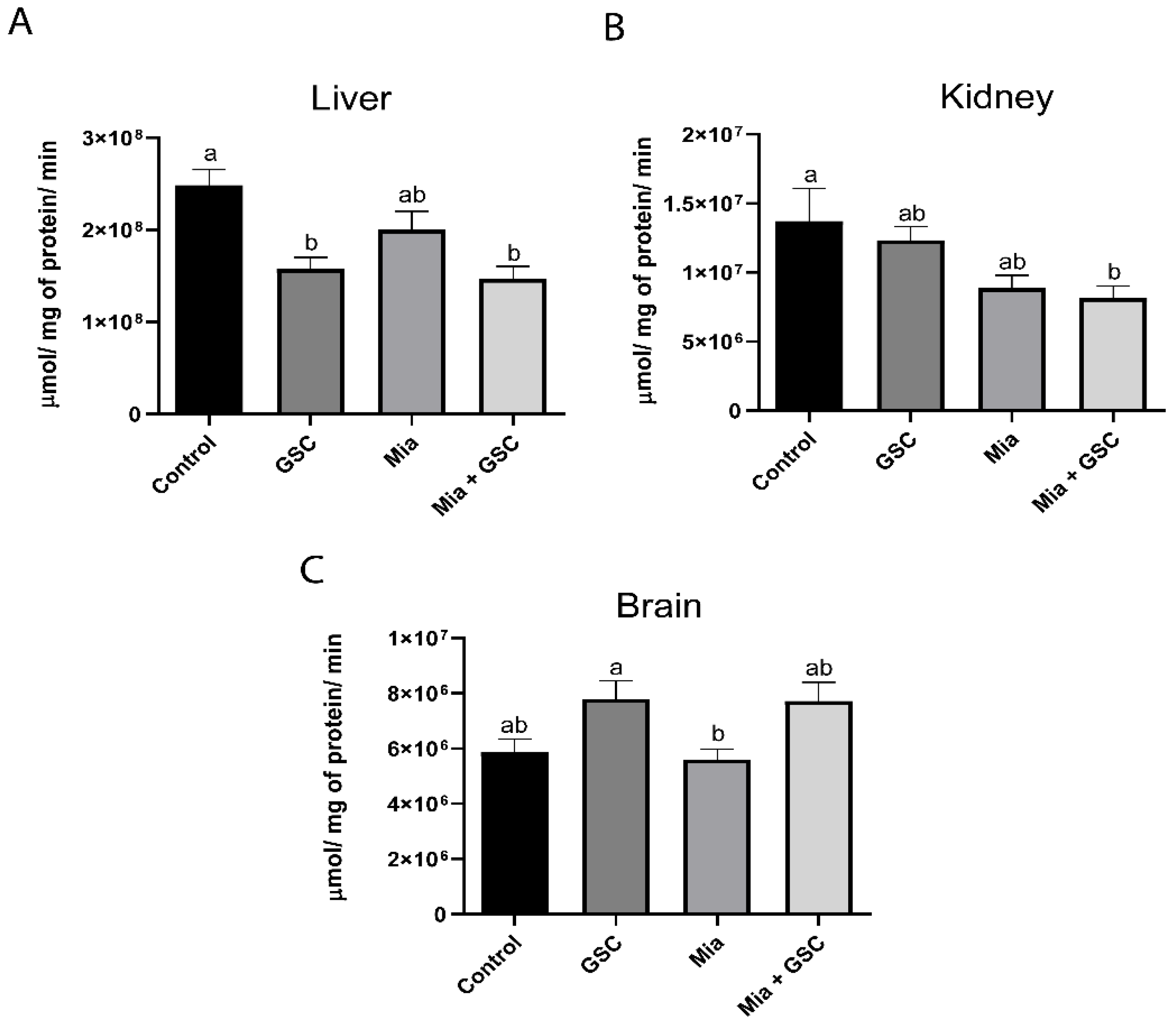 Antioxidants 14 00881 g003