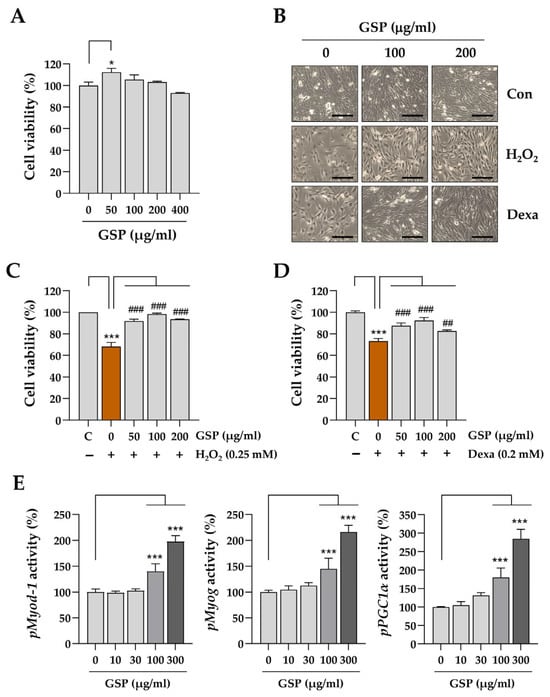 Antioxidants 14 00882 g001