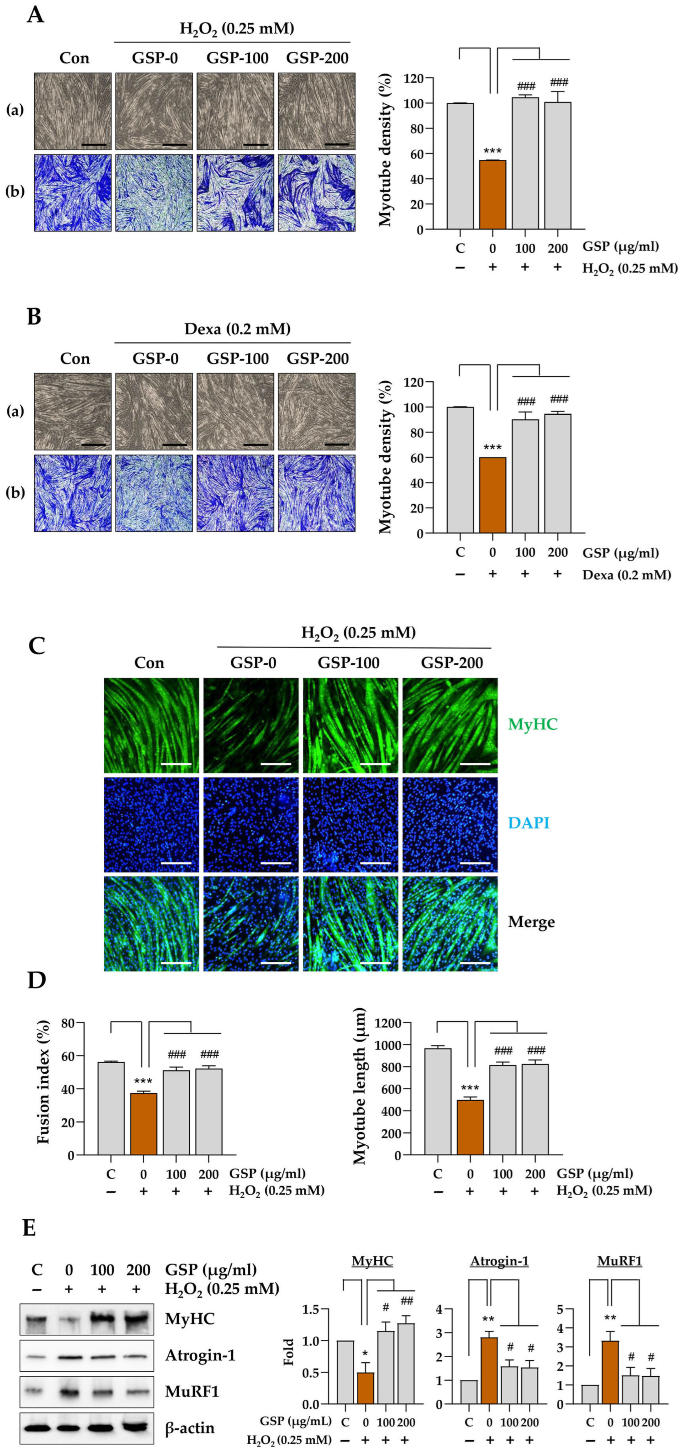 Antioxidants 14 00882 g002a
