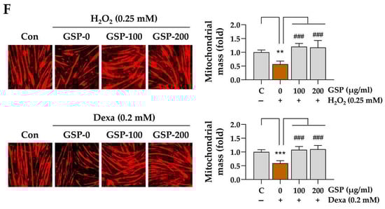 Antioxidants 14 00882 g002b